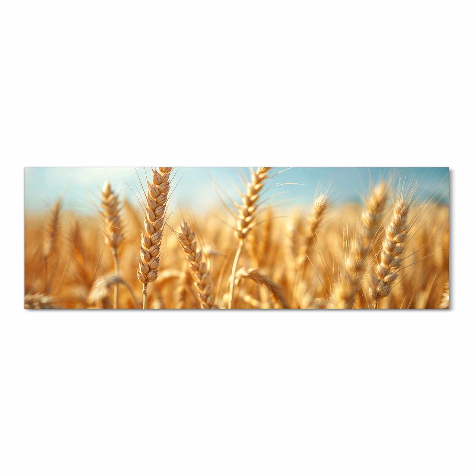 Großer Küchenteppich mit Motiv Sanfte Weizenfeld in Frontansicht für optimalen Trittkomfort