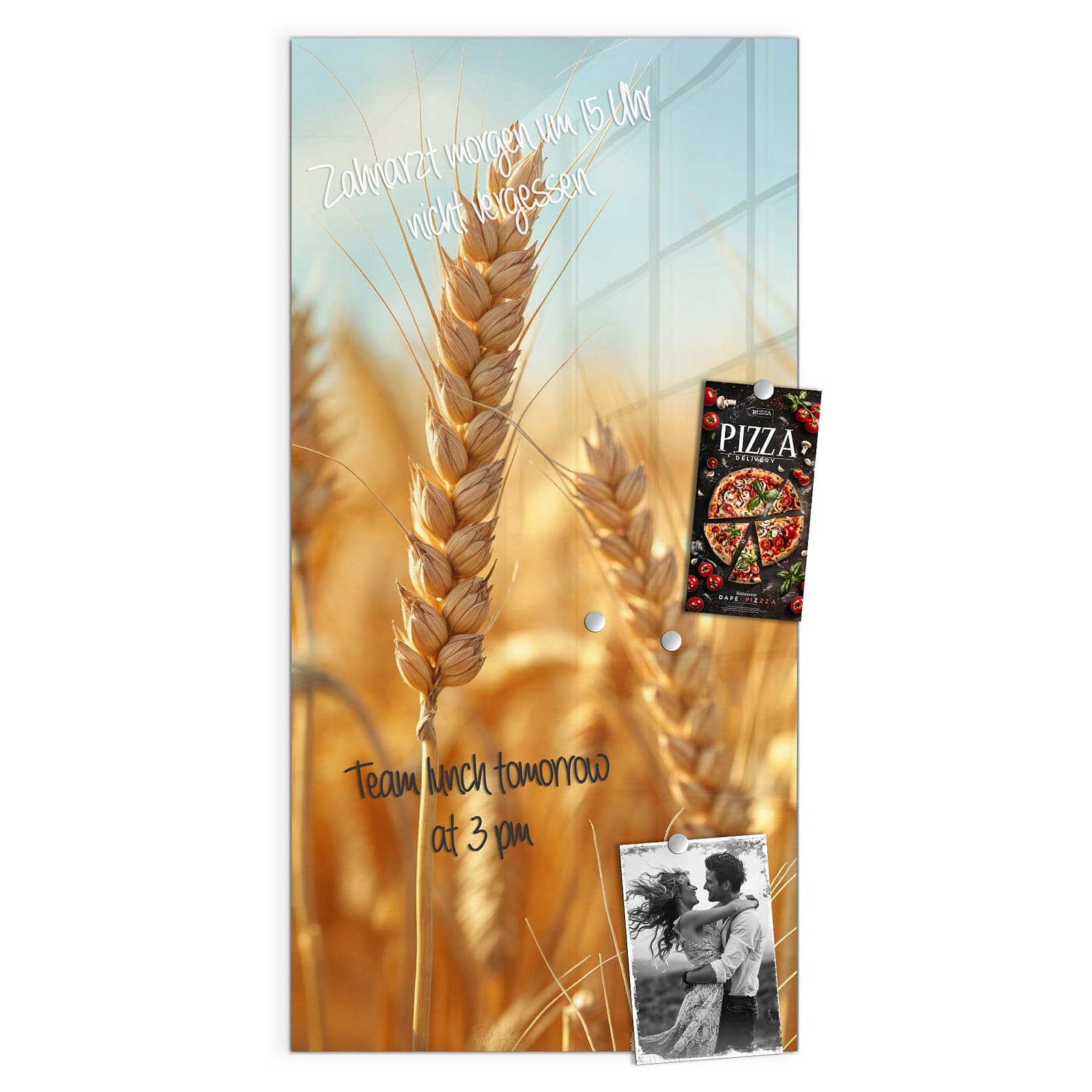 #grösse_50 x 100 cm