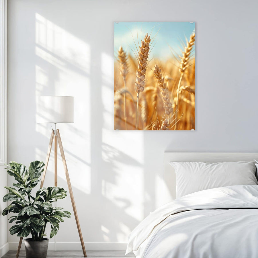 Maße Wandbild - Weizen im Sonnenlicht - Hochformat