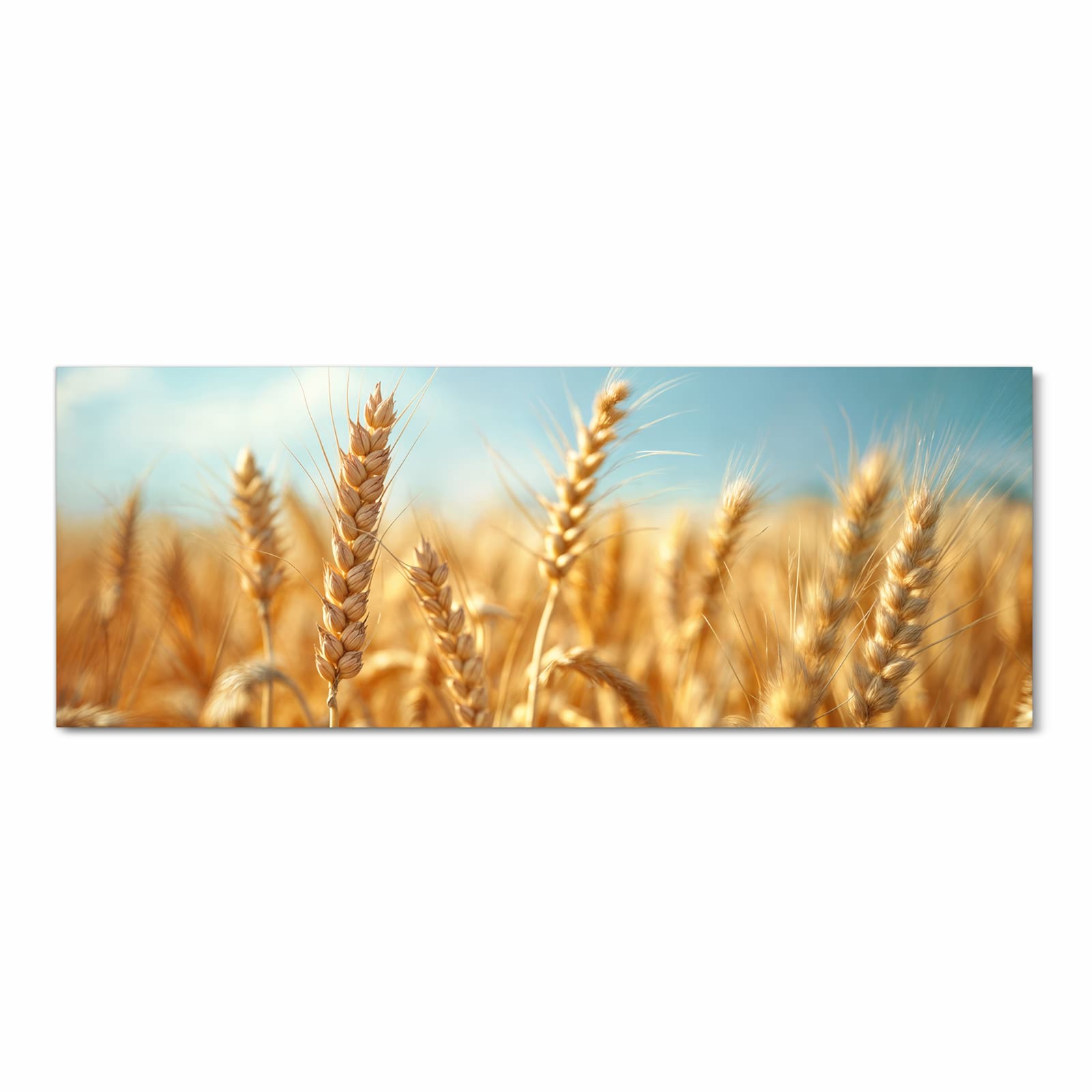 Komfortabler rutschfester Küchenläufer mit Motiv Sanfte Weizenfeld in Frontansicht