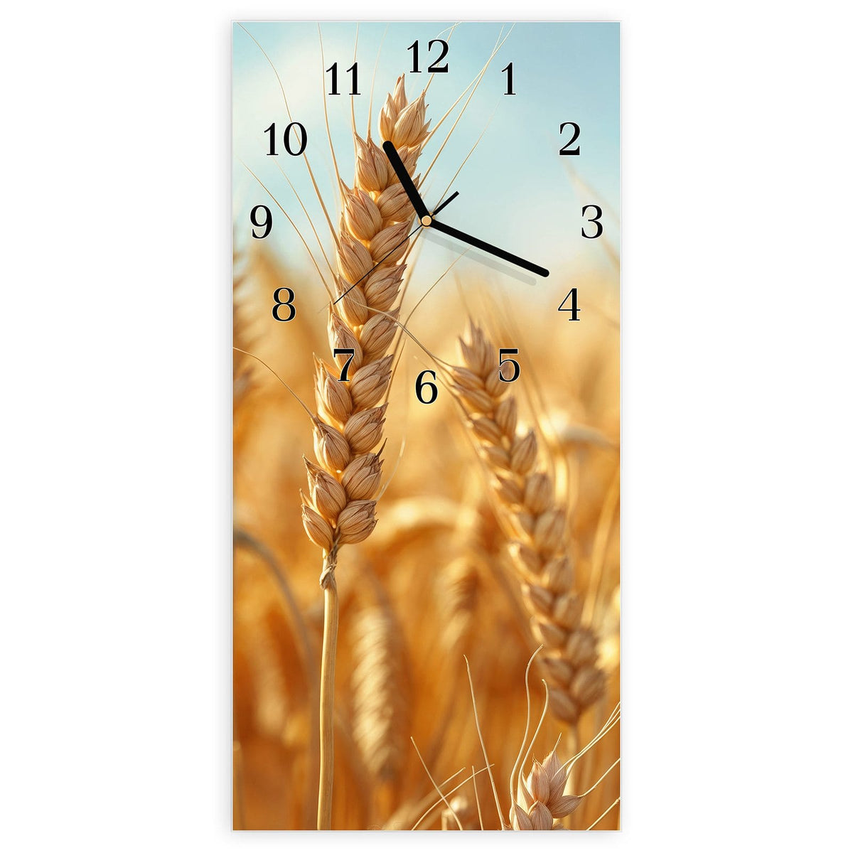 Wanduhr aus Glas, Ziffernblatt Klassisch mit Motiv Weizen im Sonnenlicht: Goldene Weizenähren in Nahaufnahme vor hellblauem, fast wolkenlosem Himmel #ziffernblatt_Klassisch