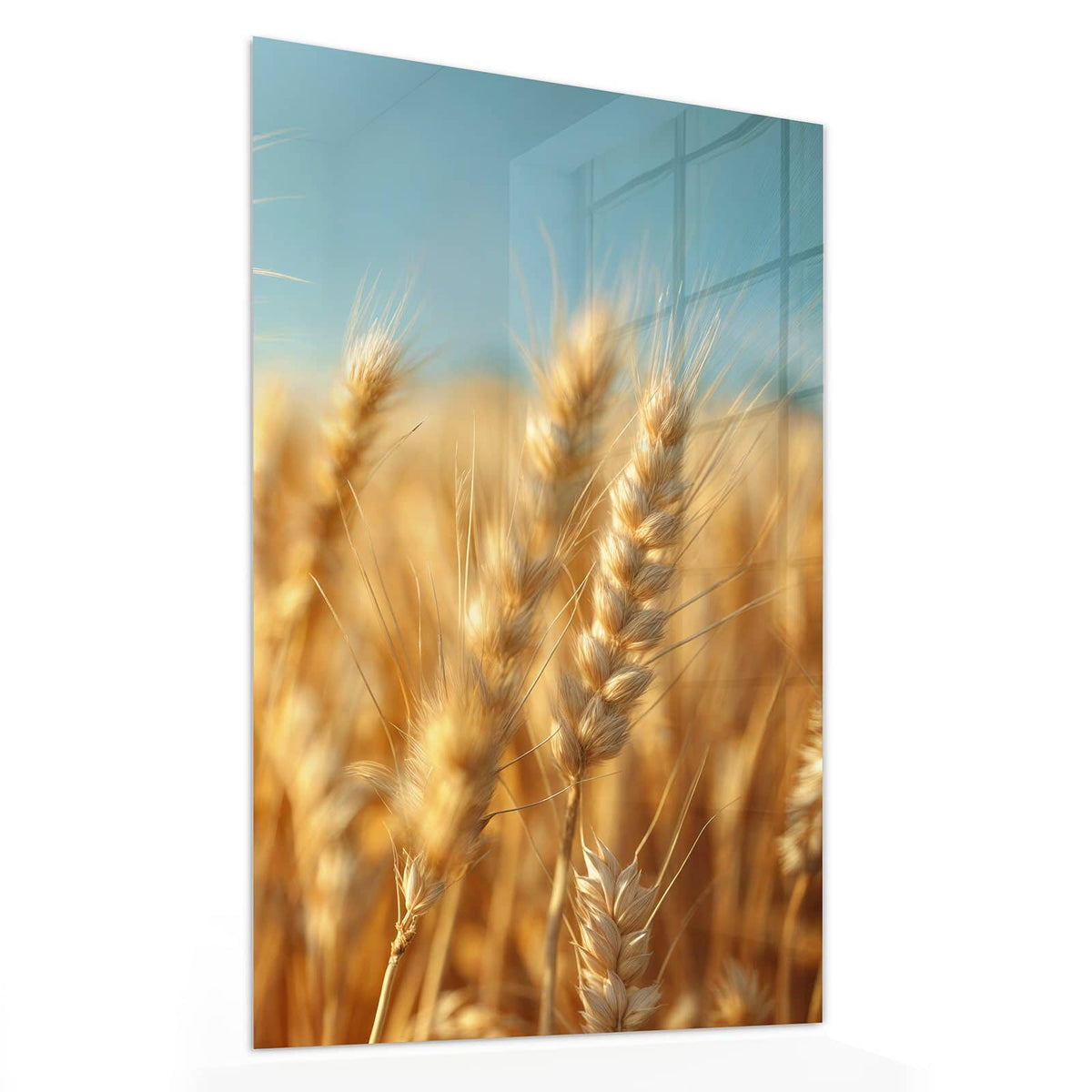11 Größen – von 30 × 60 bis 60 × 150 cm – Wandbild - Weizen im Sonnenlicht - Hochformat