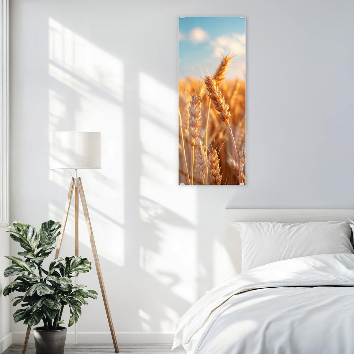 Glasbild Reifer Weizen an der Wand – Reife Weizenähren im warmen Gegenlicht vor kräftig blauem Himmel mit Wölkchen