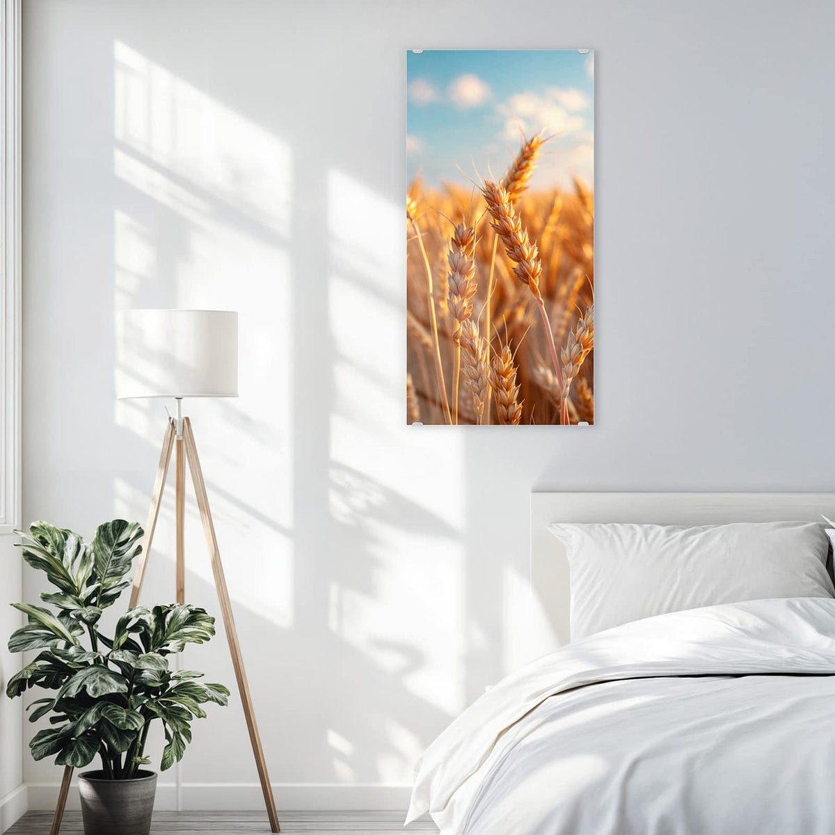 Glasbild Reifer Weizen an der Wand – Reife Weizenähren im warmen Gegenlicht vor kräftig blauem Himmel mit Wölkchen