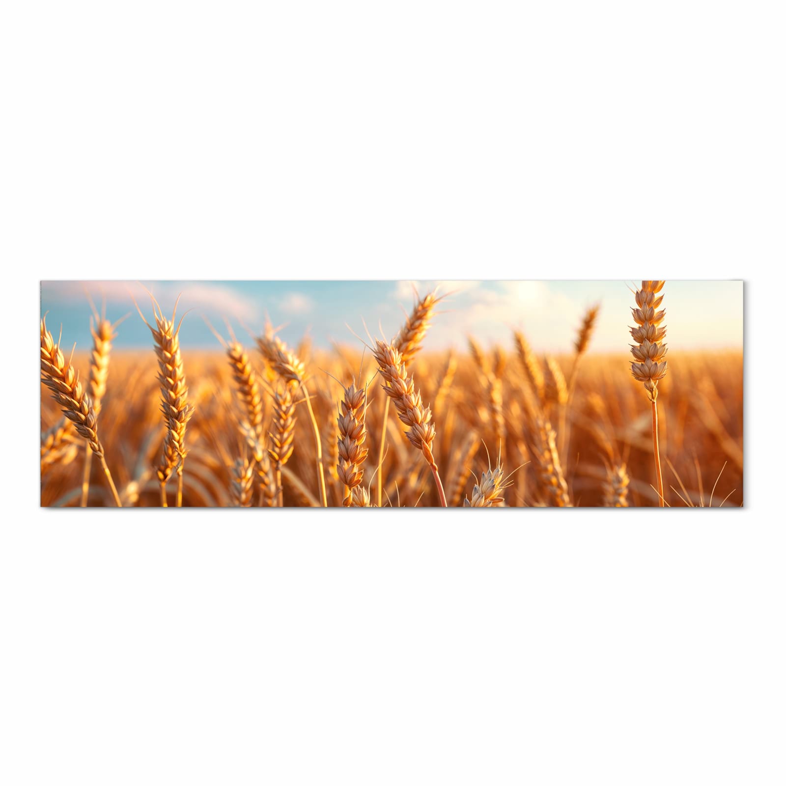 Formstabiler waschbarer Küchenteppich mit Motiv Weizenfeld Sonnenuntergang in Frontansicht