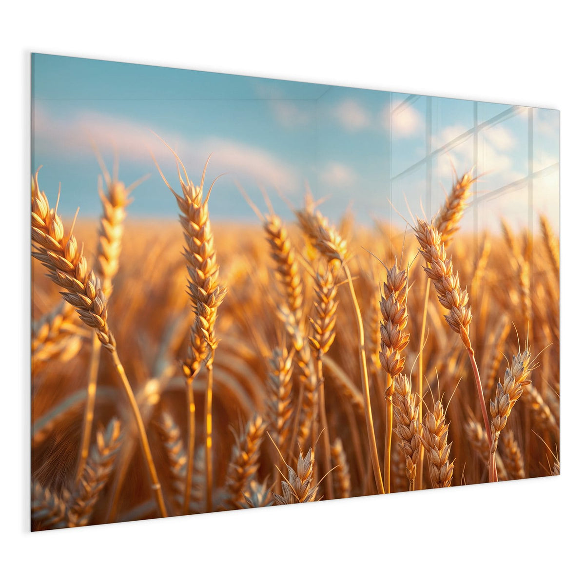 4 mm Glas statt lackiertem Blech – Glas Magnettafel - Reifer Weizen
