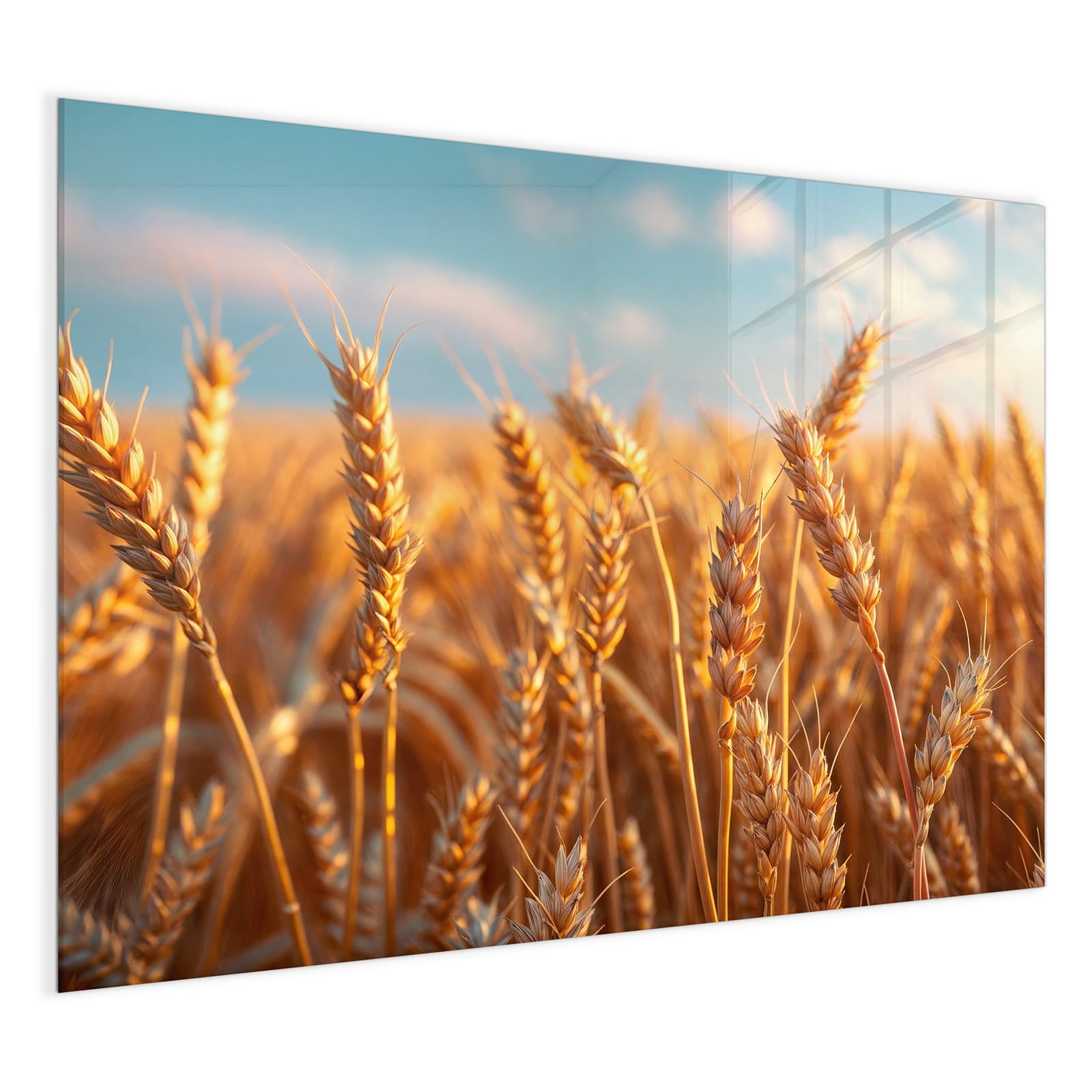 #grösse_120 x 90 cm