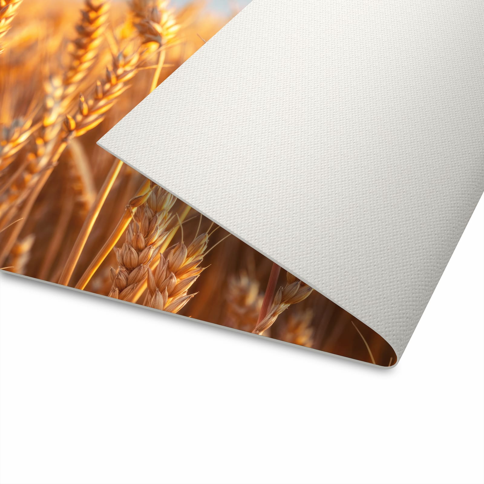 Schmutzabweisender Bodenläufer mit Motiv Weizenfeld Sonnenuntergang in der Unterseite