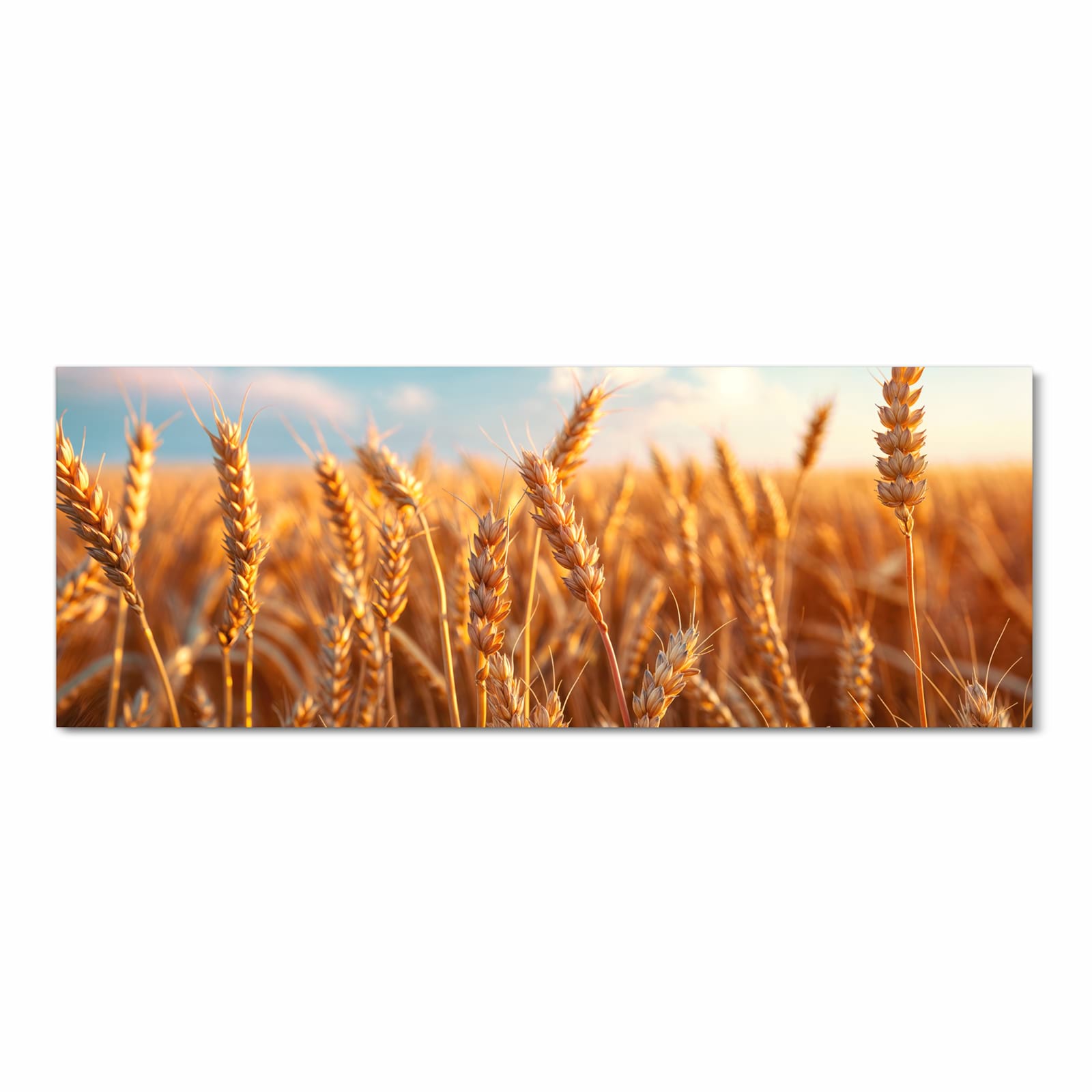 Geräuschdämpfender Küchenteppich mit Motiv Weizenfeld Sonnenuntergang in Frontansicht