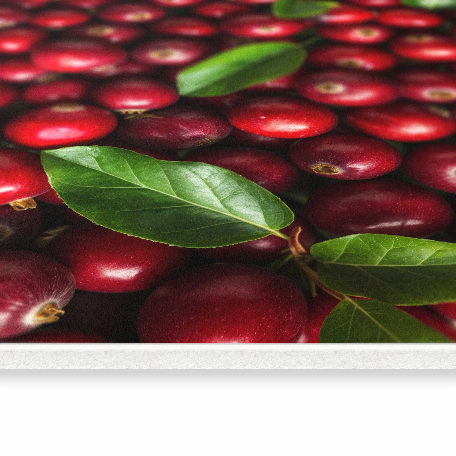 Flacher rutschfester Küchenteppich mit Motiv Frische Preiselbeeren in seitlicher Ansicht