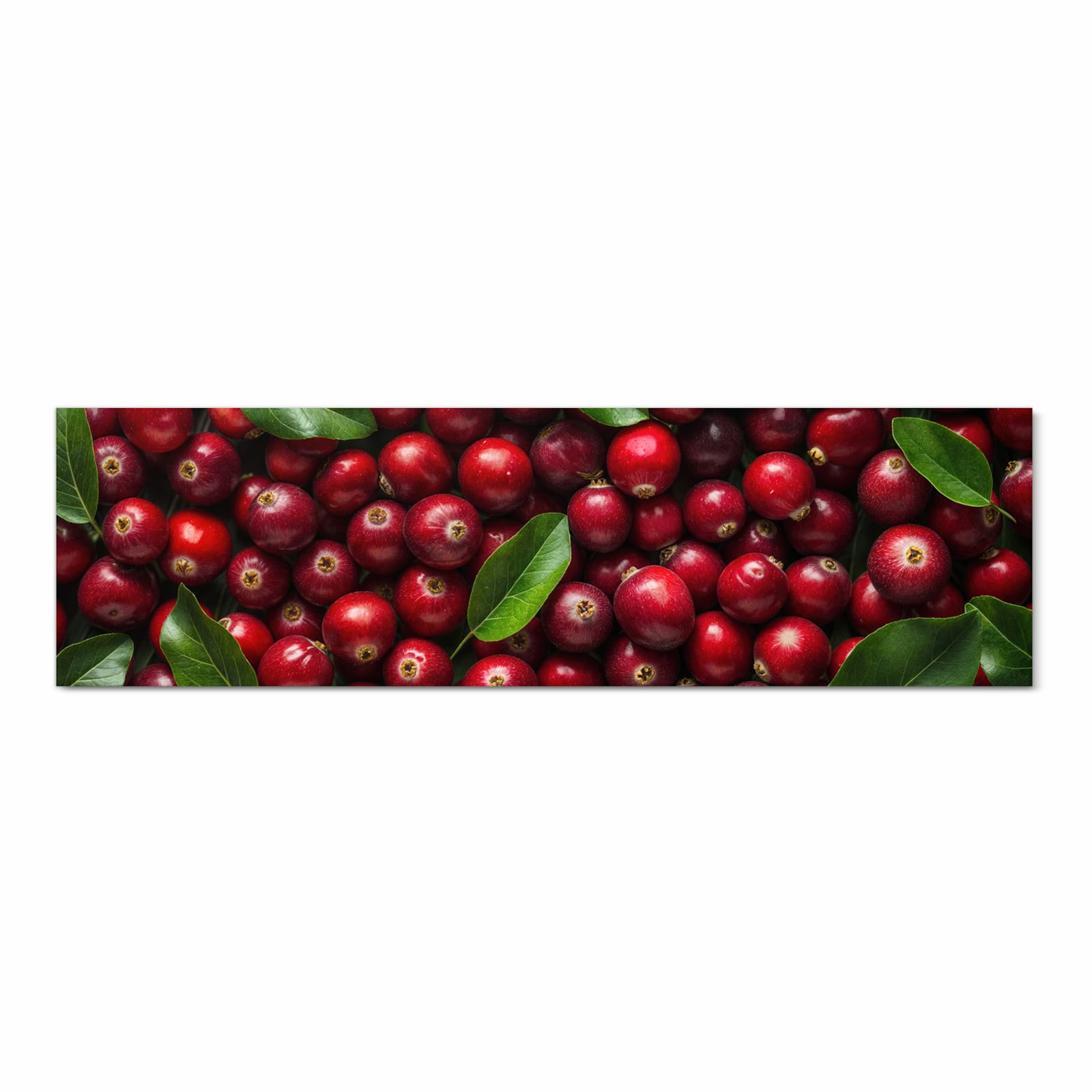 Komfortabler Küchenläufer mit Motiv Frische Preiselbeeren in Frontansicht