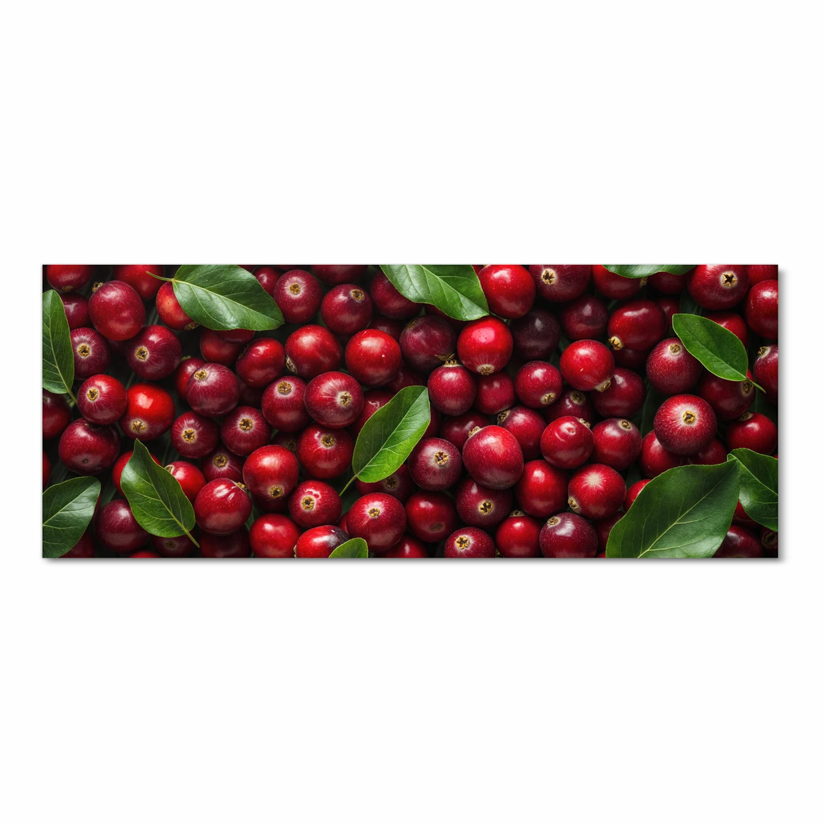 Wasserabweisender Küchenteppich mit Motiv Frische Preiselbeeren in Frontansicht