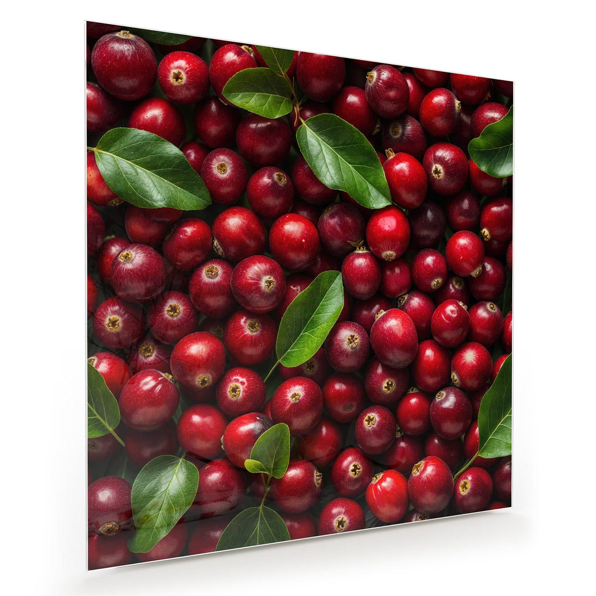 Bildfüllende Fläche aus tiefroten Beeren mit einzelnen grünen Blättern