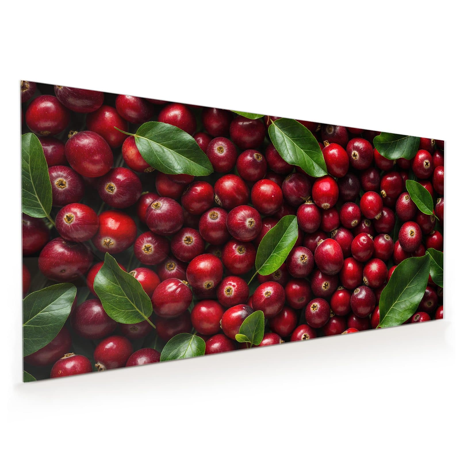#60 x 120 cm_