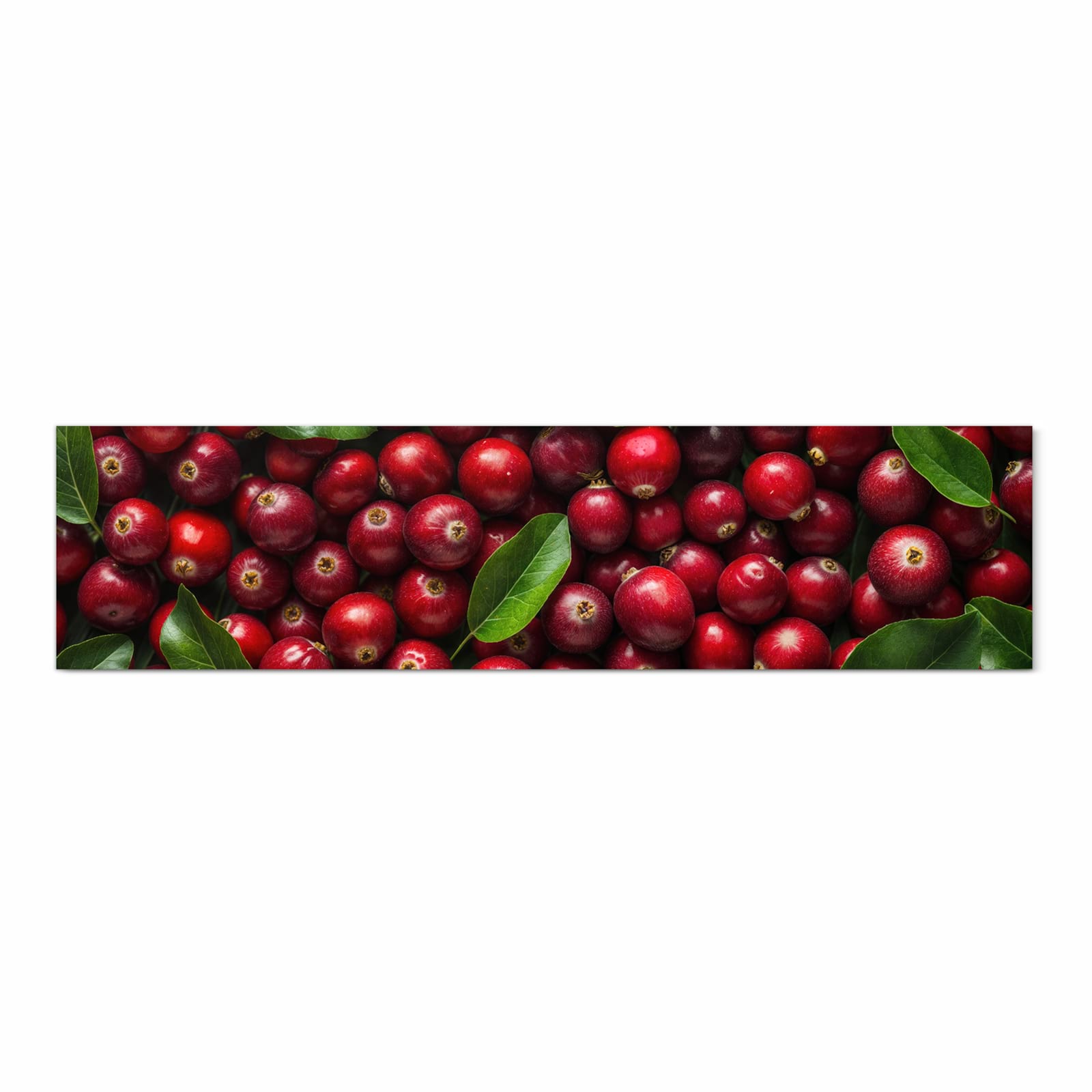 Schmutzabweisender waschbarer Küchenteppich mit Motiv Frische Preiselbeeren in Frontansicht