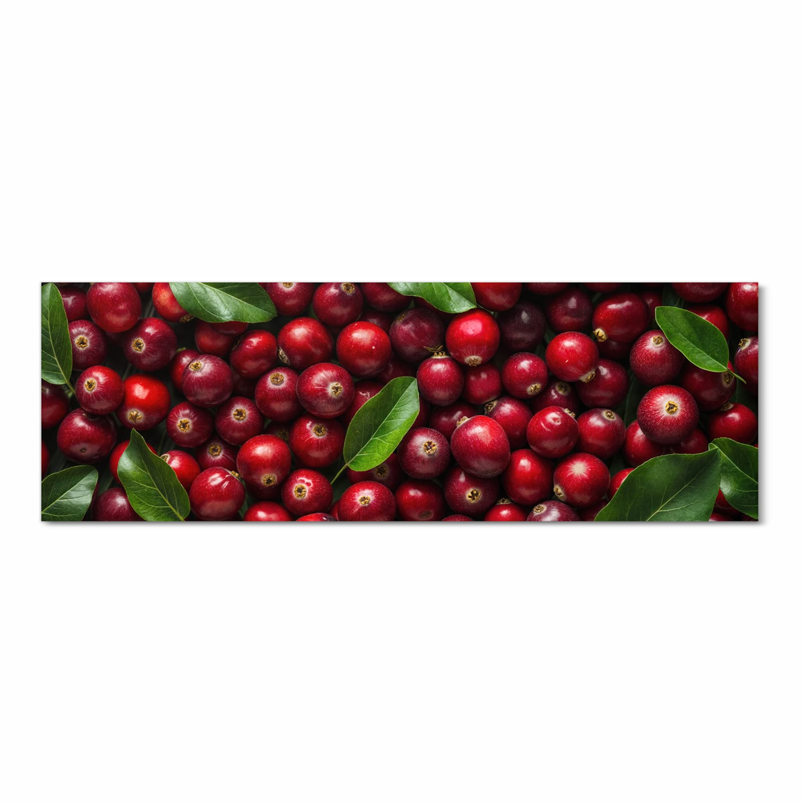 Fleckenresistenter waschbarer Küchenteppich mit Motiv Frische Preiselbeeren in Frontansicht