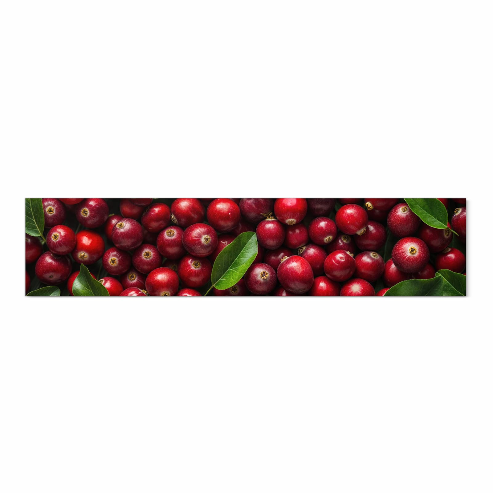 Geruchsneutraler großer Küchenteppich mit Motiv Frische Preiselbeeren in Frontansicht