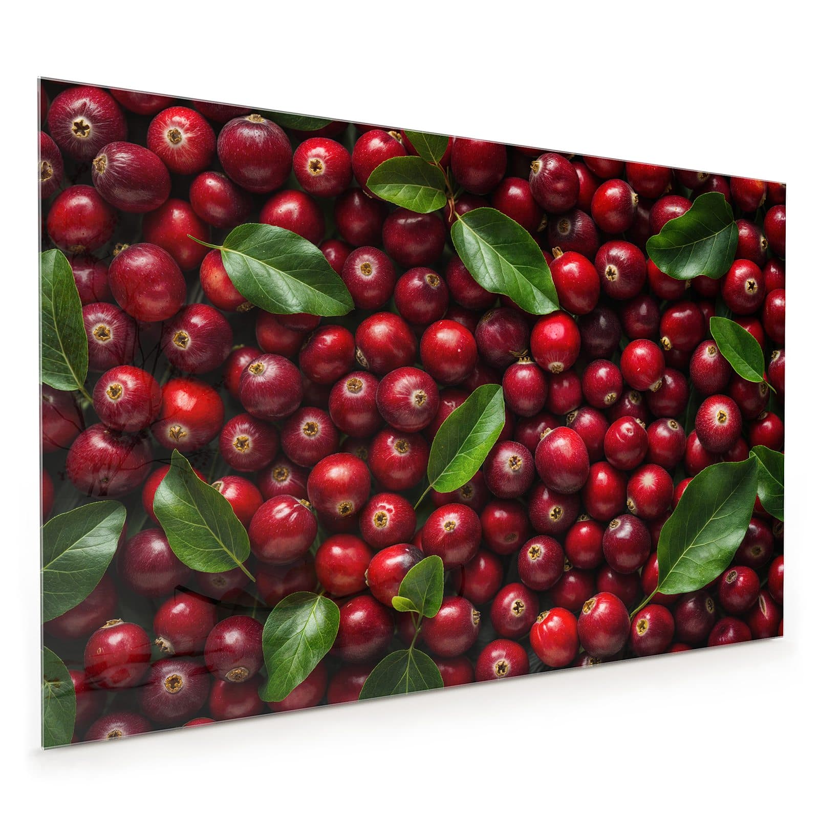 #80 x 120 cm_