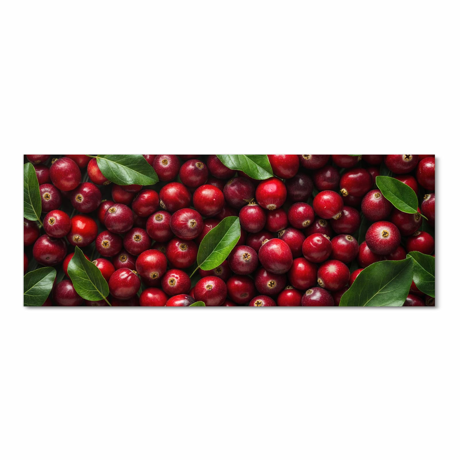 Pflegeleichter Küchenläufer mit Motiv Frische Preiselbeeren in Frontansicht, rutschfest