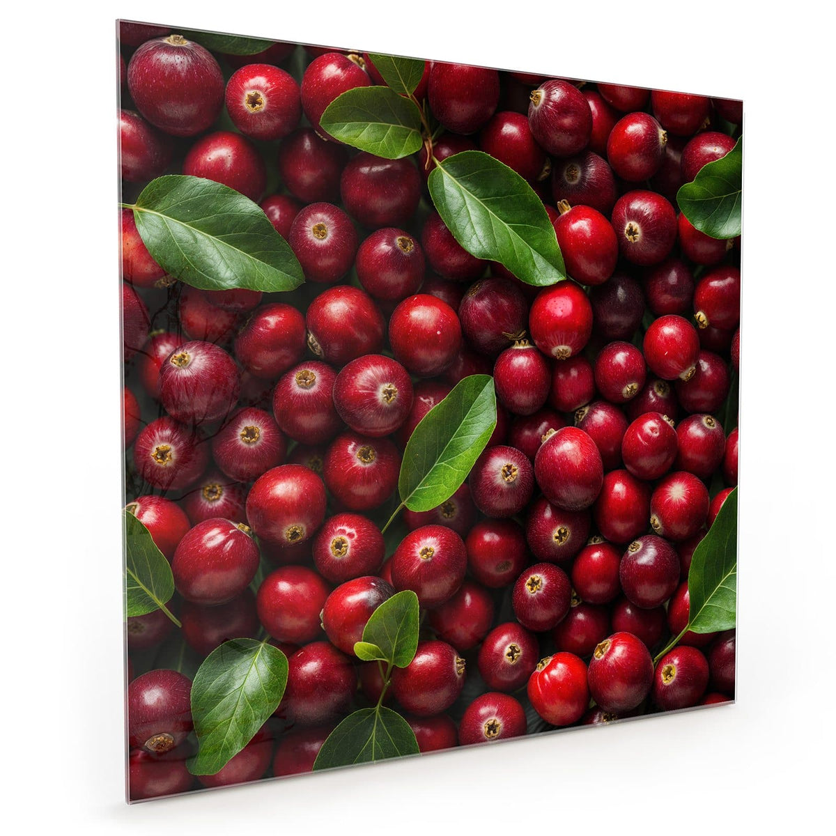 #grösse_40 x 40 cm #grösse_50 x 50 cm #grösse_60 x 60 cm