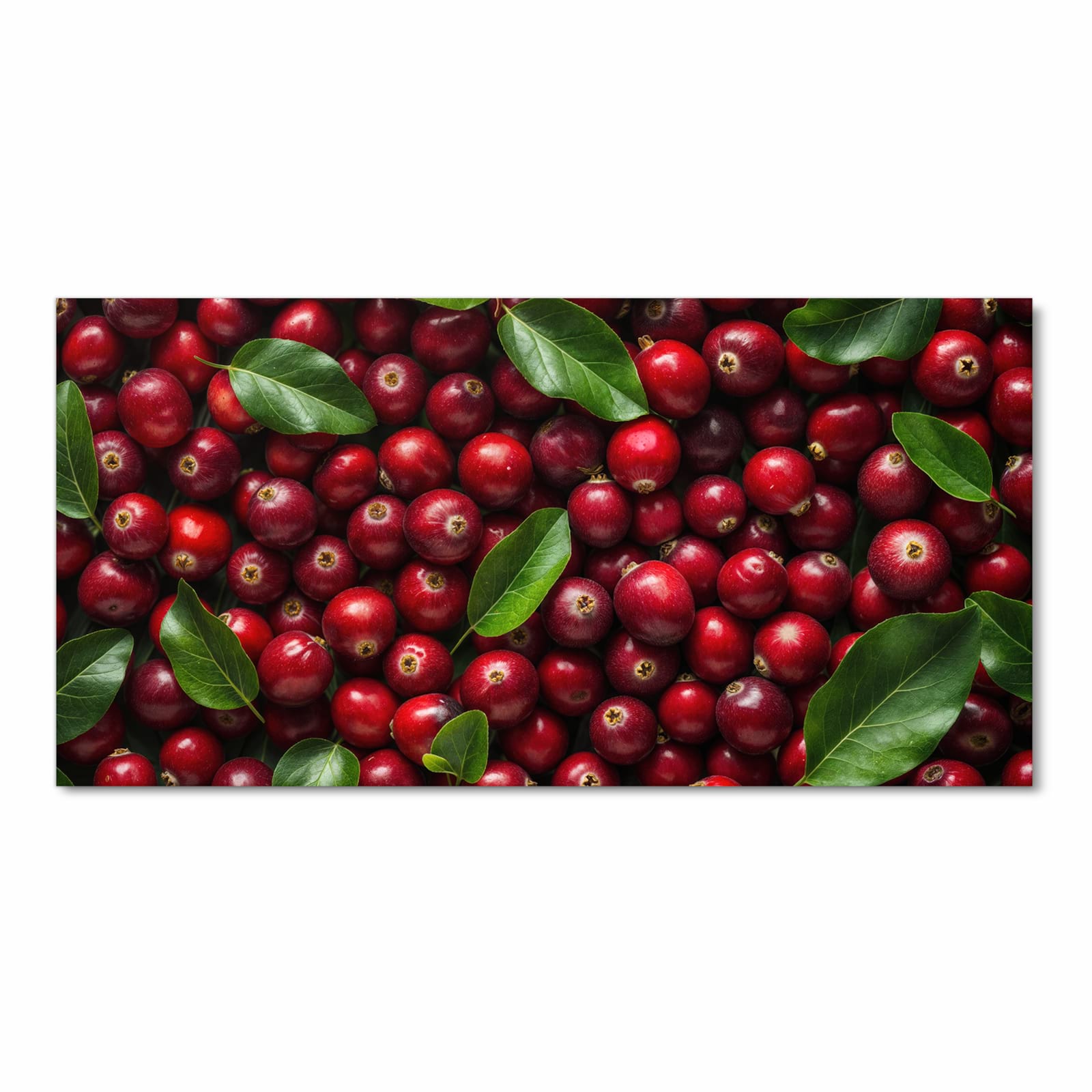 Rutschfester Küchenteppich mit Motiv Frische Preiselbeeren in Frontansicht für Trittkomfort