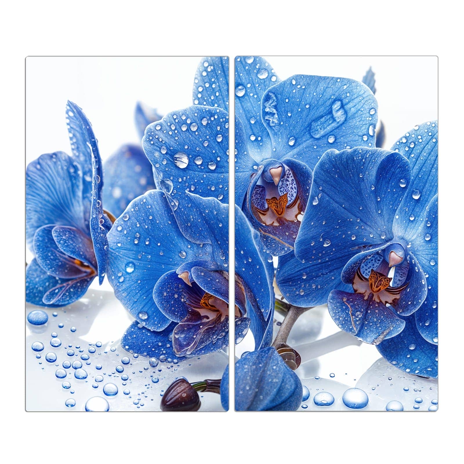 2-teilige Deckplatte aus Glas mit Blaue Orchideen-Motiv in der Frontansicht #grösse_2-Teilig (60x52cm)