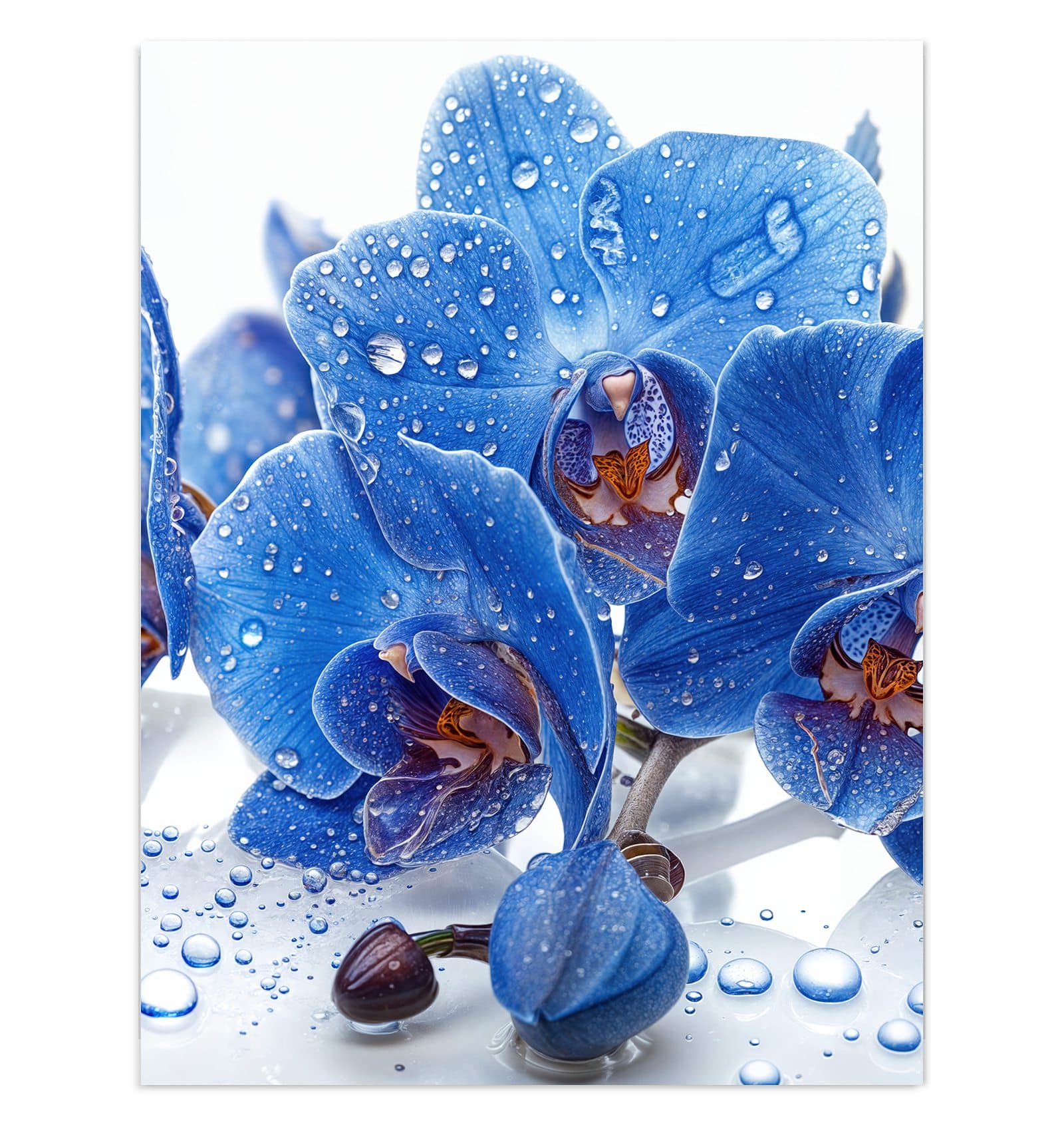 #grösse_30 x 40 cm #grösse_60 x 80 cm #grösse_75 x 100 cm