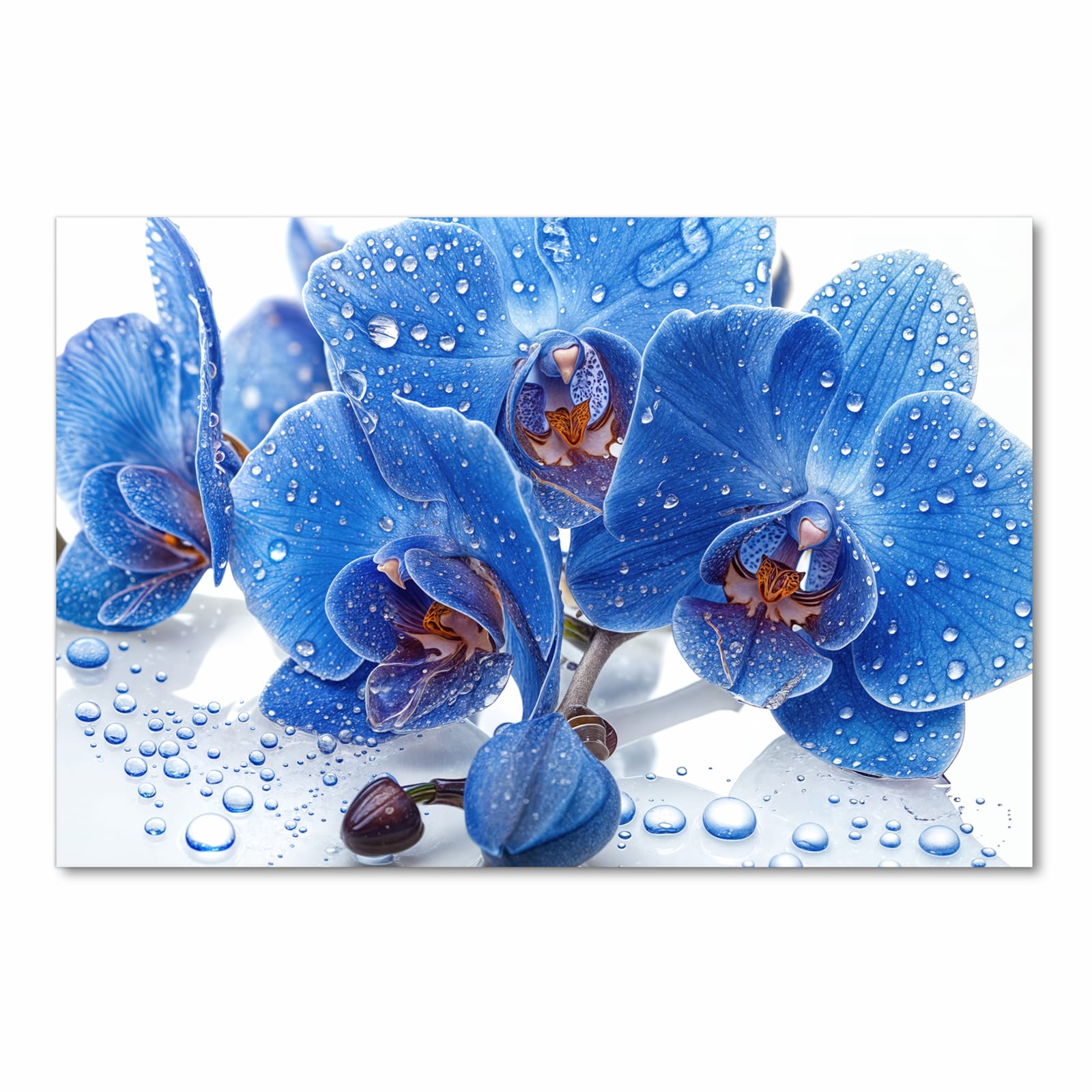 Bodenschonender Küchenläufer nach Maß mit Motiv Blaue Orchideen in Frontansicht