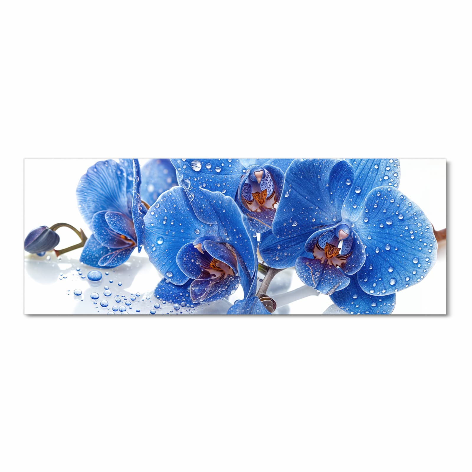 Formstabiler abwaschbarer Küchenteppich mit Motiv Blaue Orchideen in Frontansicht