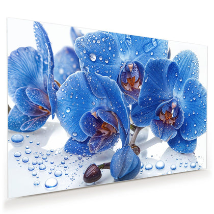 Wandbild mit dem Motiv Blaue Orchideen