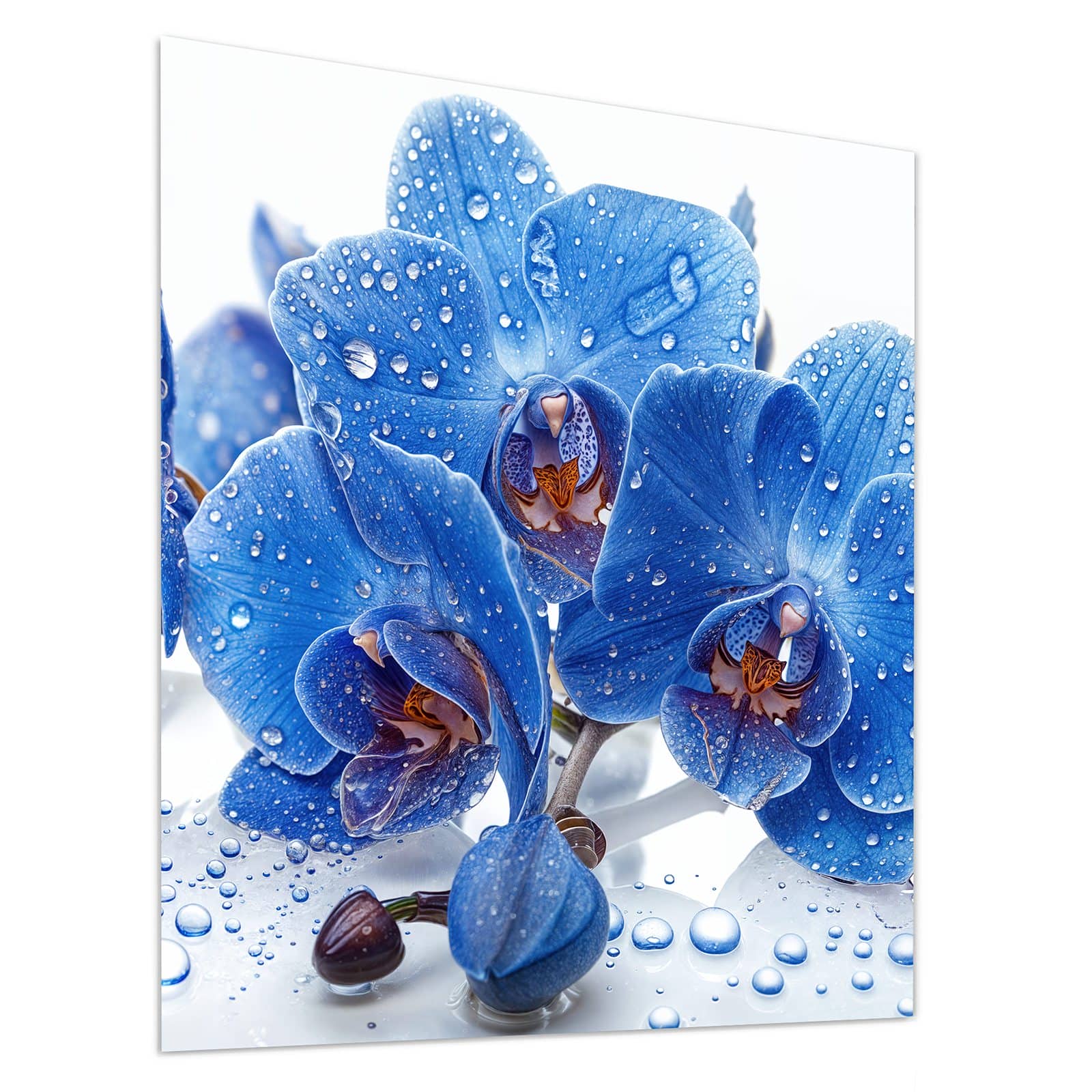 #grösse_90 x 100 cm