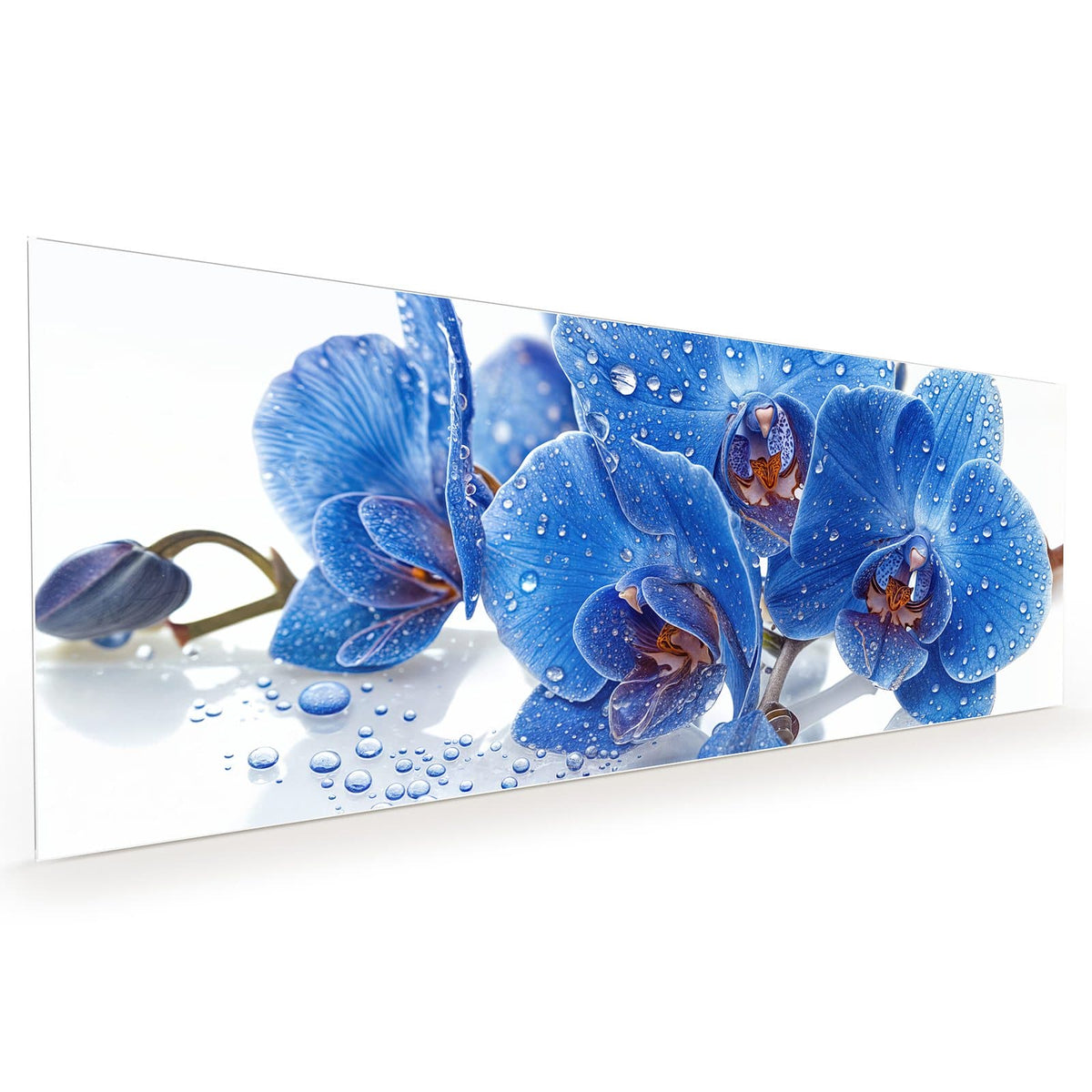 #grösse_40 x 100 cm #grösse_50 x 125 cm #grösse_60 x 150 cm