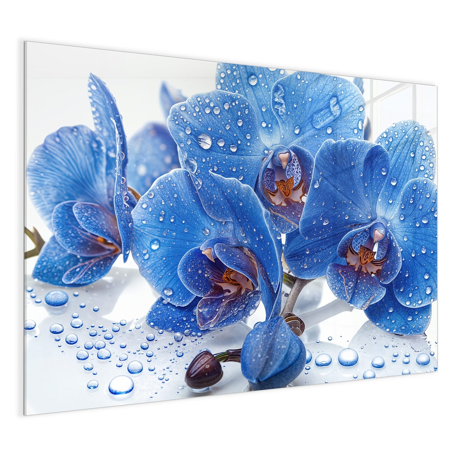 #grösse_120 x 90 cm