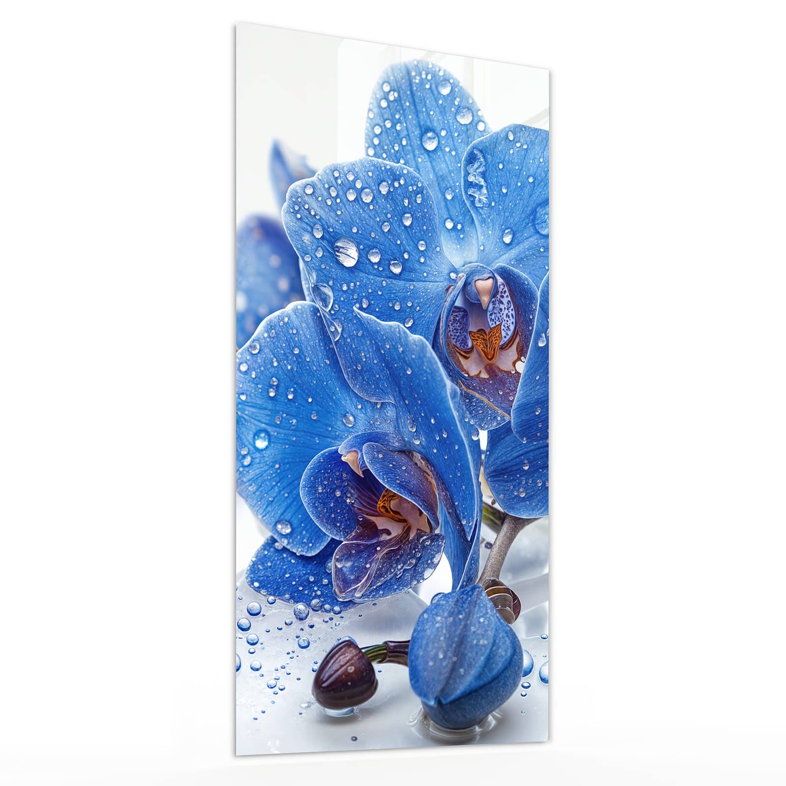 #grösse_30 x 60 cm #grösse_40 x 80 cm #grösse_50 x 100 cm #grösse_55 x 110 cm #grösse_60 x 120 cm