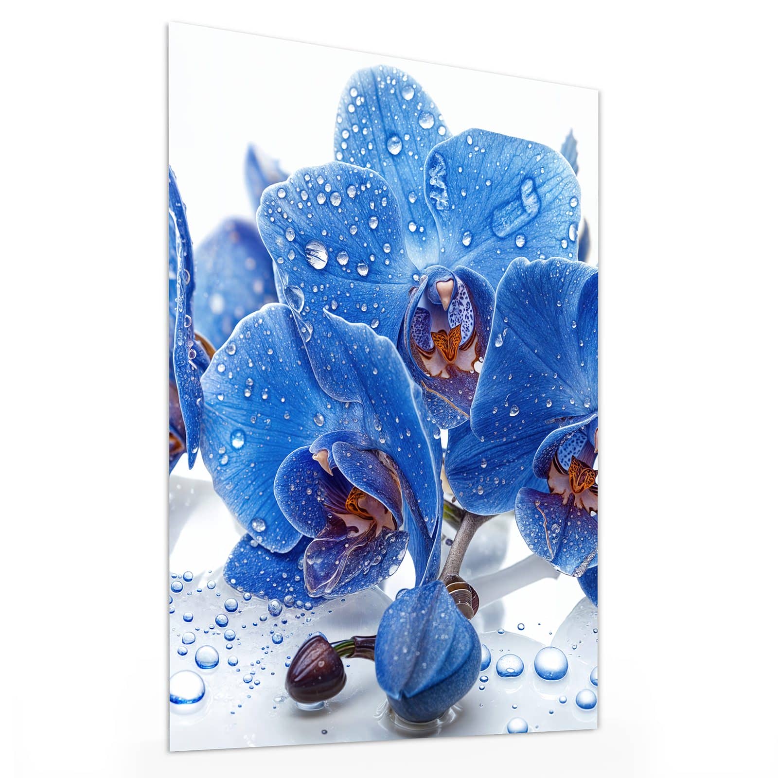 #grösse_30 x 40 cm #grösse_60 x 80 cm #grösse_75 x 100 cm