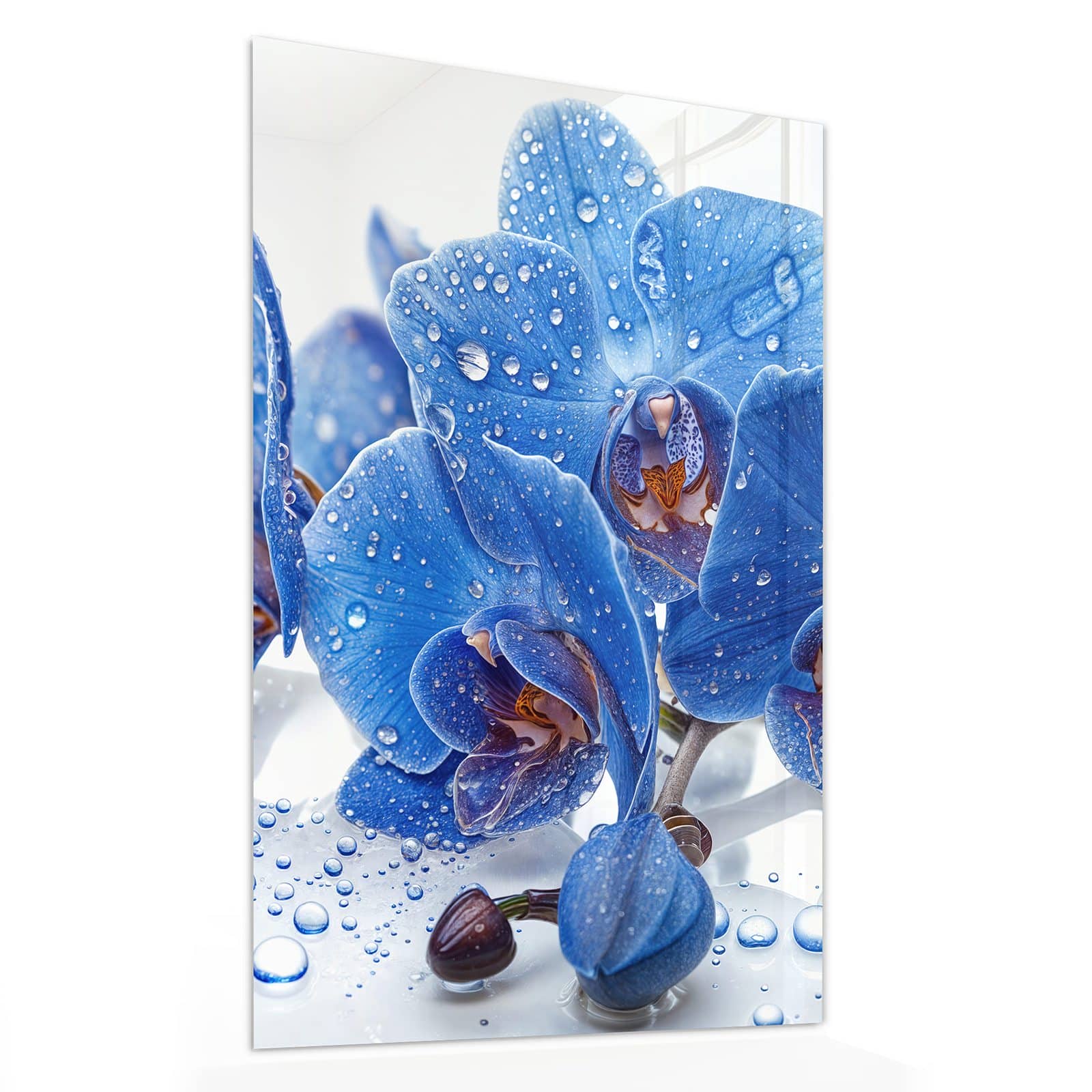 #grösse_40 x 60 cm #grösse_50 x 75 cm #grösse_60 x 90 cm