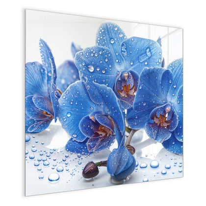 Magnettafel mit dem Motiv Blaue Orchideen