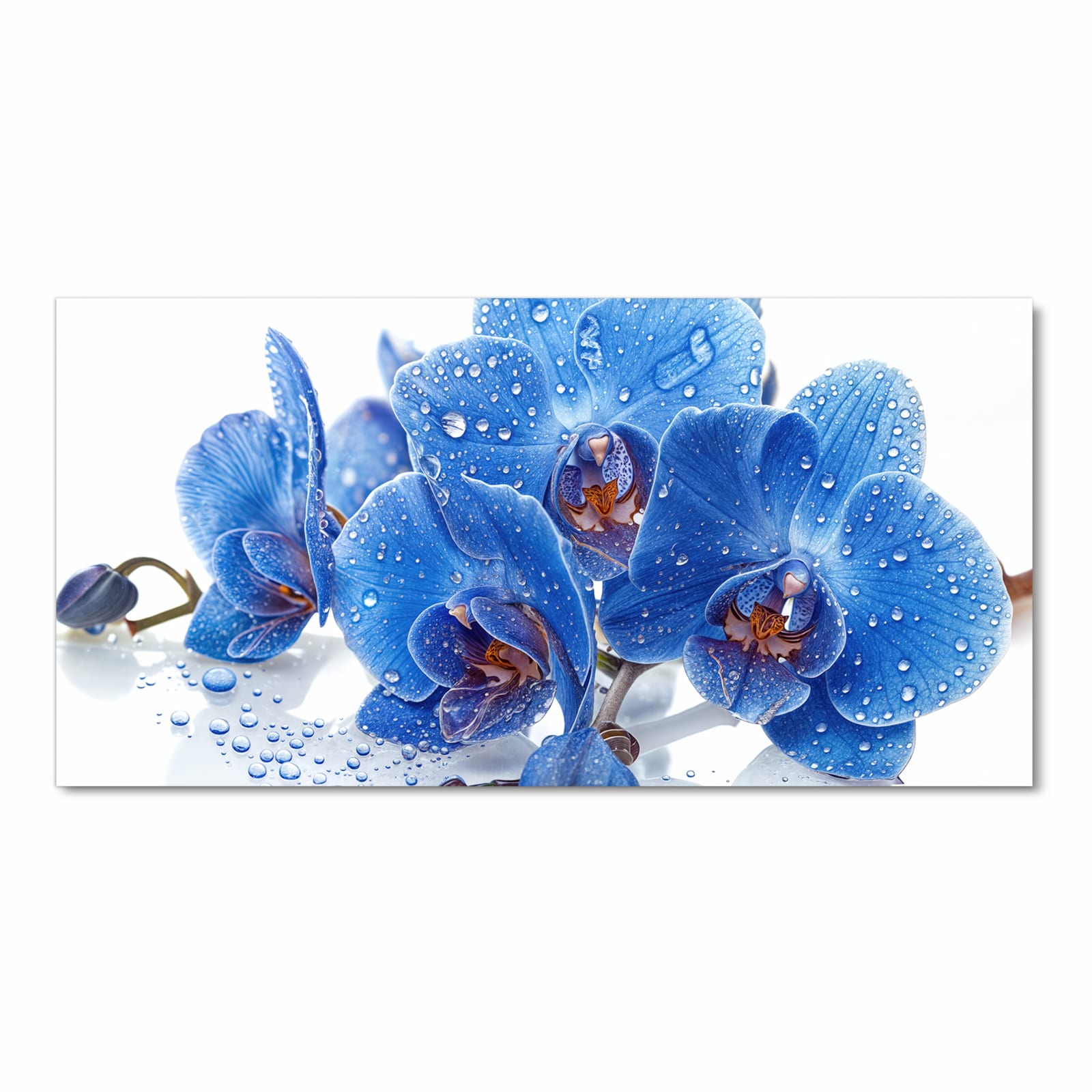 Hygienischer rutschfester Küchenläufer mit Motiv Blaue Orchideen in Frontansicht