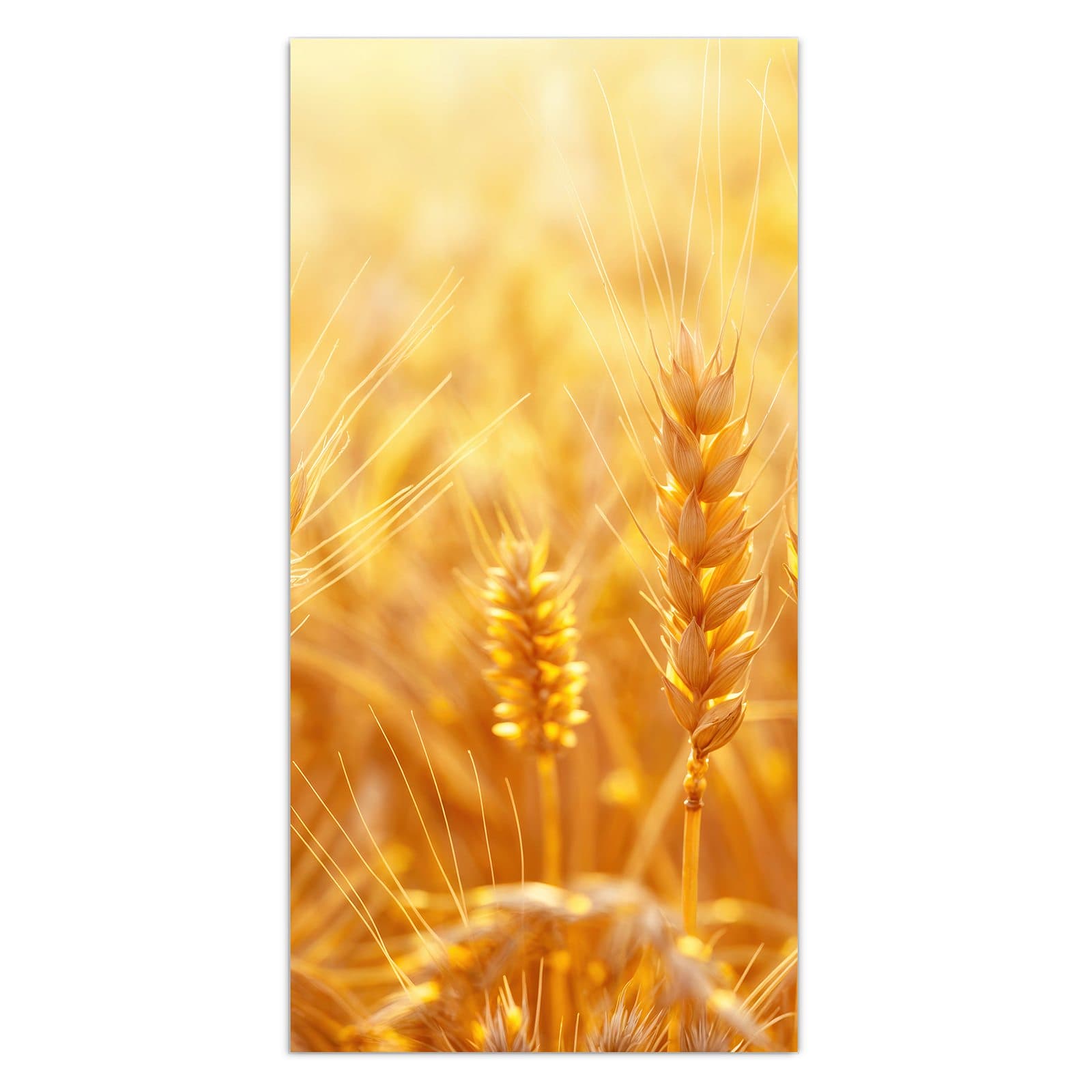 #grösse_30 x 60 cm #grösse_40 x 80 cm #grösse_50 x 100 cm #grösse_55 x 110 cm #grösse_60 x 120 cm