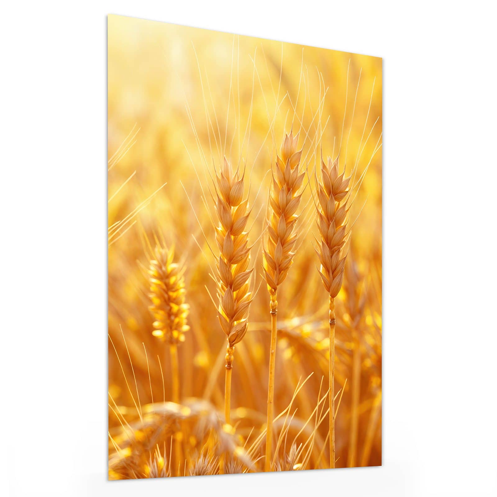 #grösse_30 x 40 cm #grösse_60 x 80 cm #grösse_75 x 100 cm