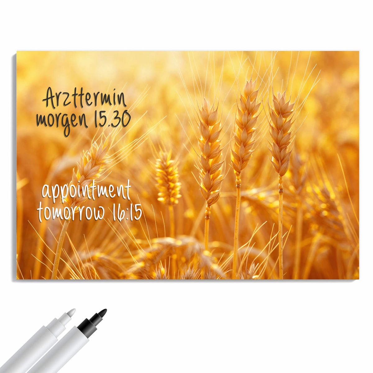 Beschreiben, abwischen, anheften – Metall Magnettafel - Weizen im Gegenlicht
