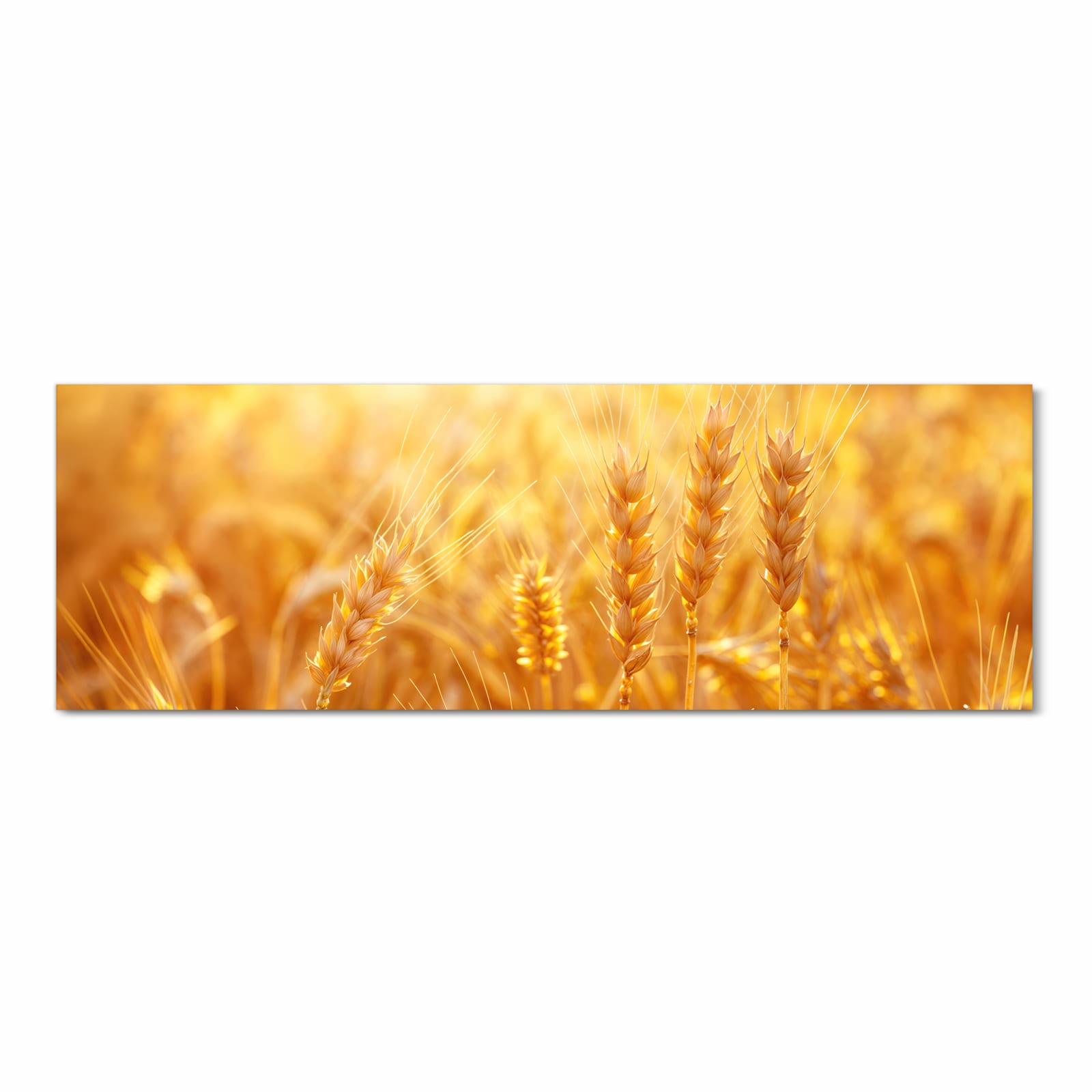 Flacher rutschfester Küchenläufer mit Motiv Sonnenuntergang von Weizenfeld in Frontansicht