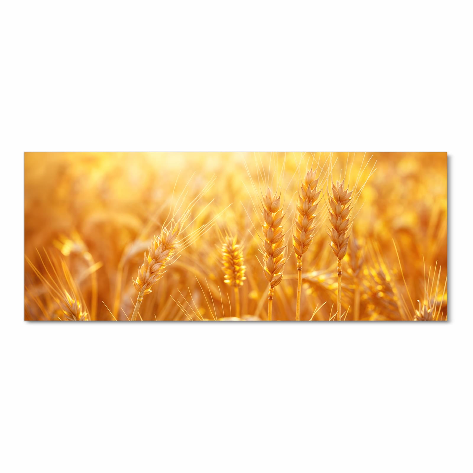 Langlebiger waschbarer Küchenläufer mit Motiv Sonnenuntergang von Weizenfeld in Frontansicht