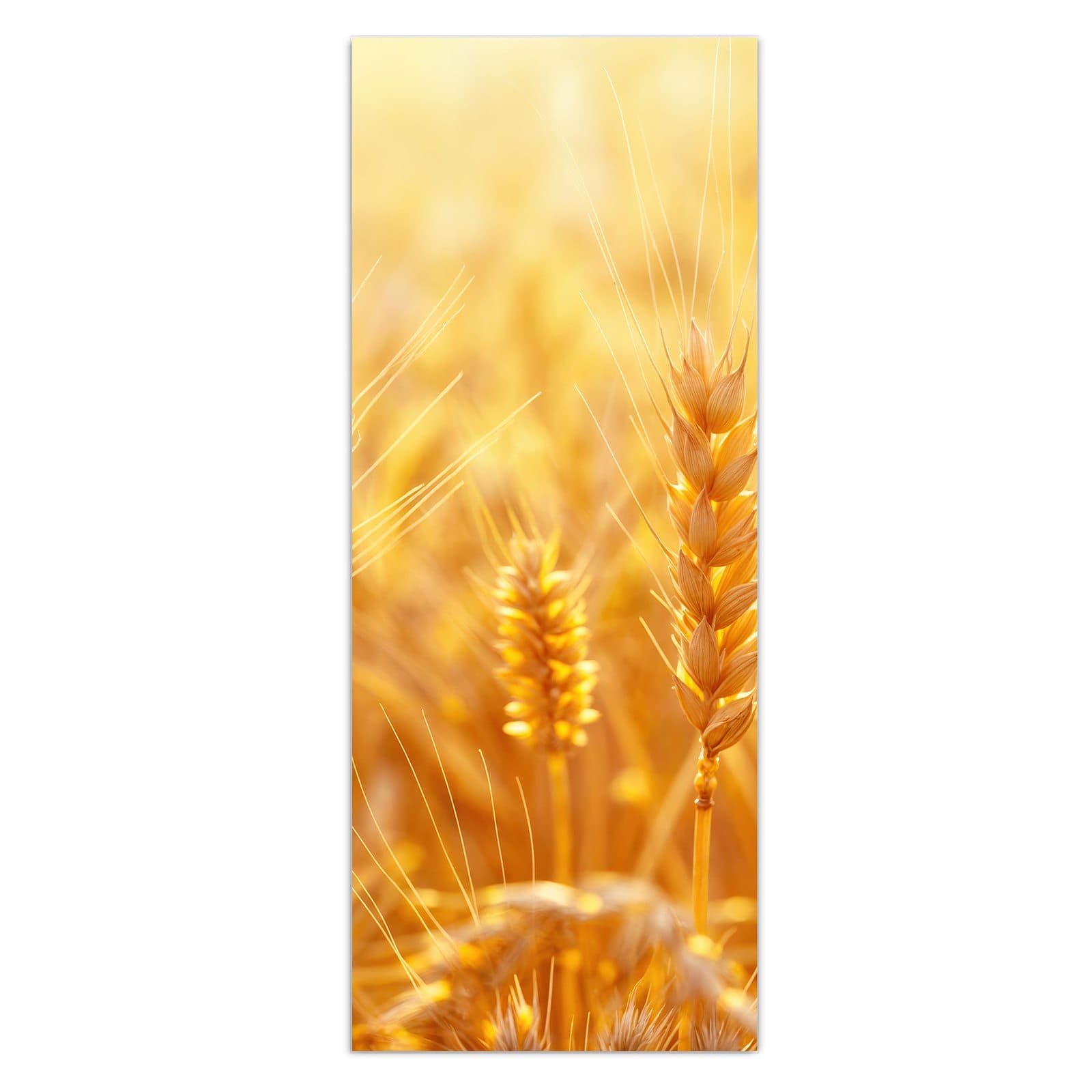 #grösse_50 x 125 cm #grösse_40 x 100 cm #grösse_60 x 150 cm