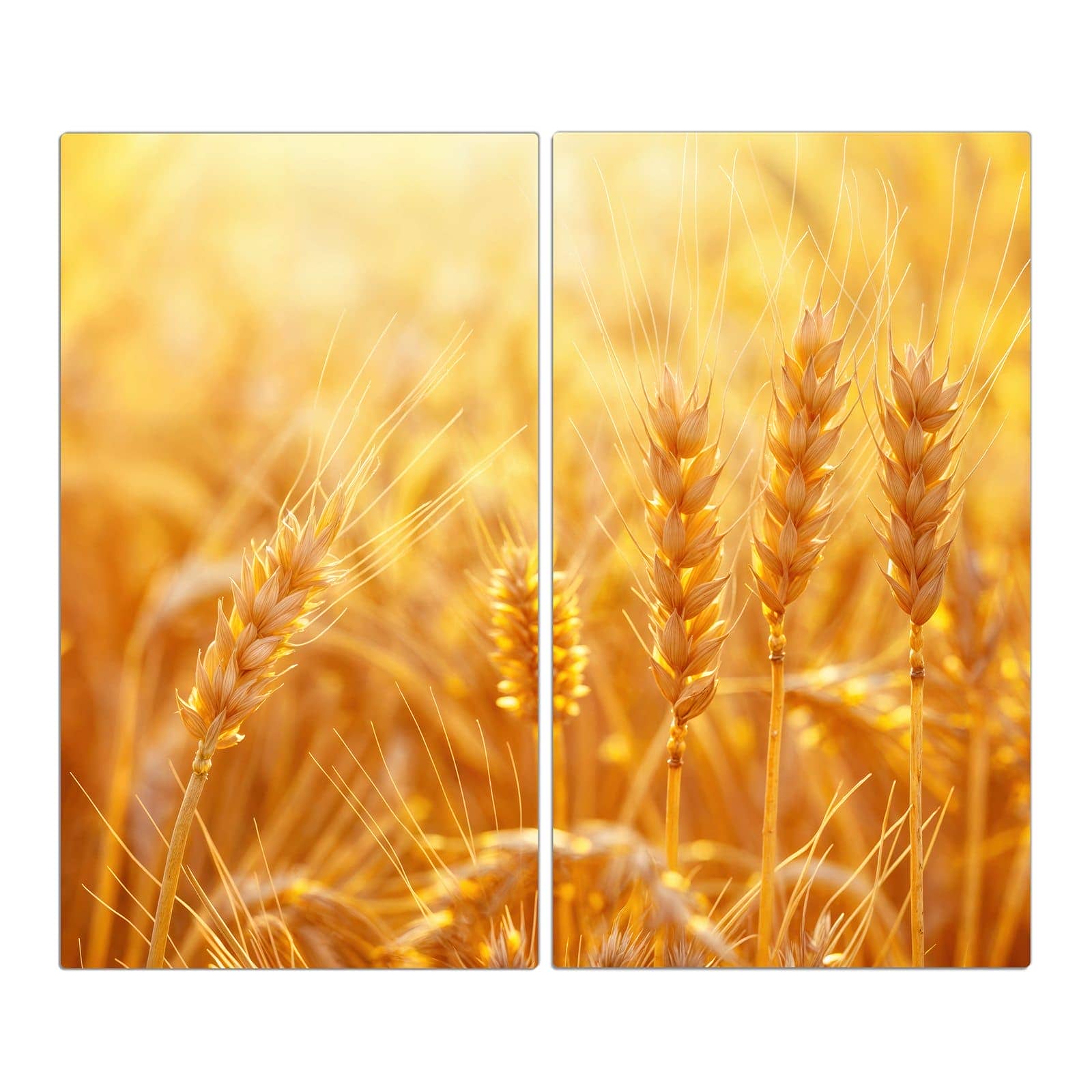 2-teilige Abdeckplatten für den Herd mit Goldene Ähren im Abendlicht-Motiv in der Frontansicht #grösse_2-Teilig (60x52cm)