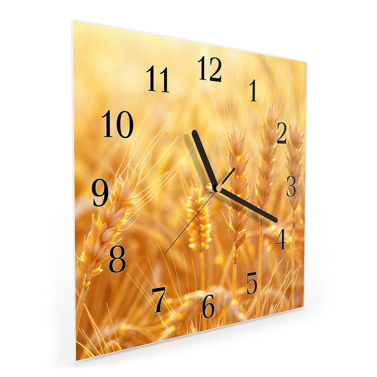 Quadratische Wanduhr aus Glas Weizen im Gegenlicht schräg von der Seite, 4 mm starkes Glas