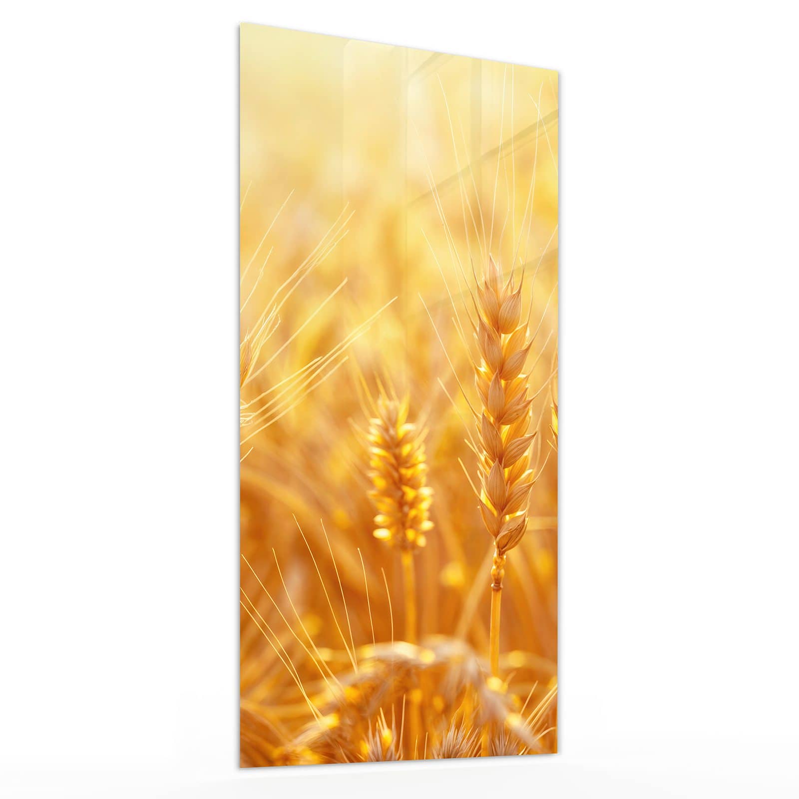 #grösse_30 x 60 cm #grösse_40 x 80 cm #grösse_50 x 100 cm #grösse_55 x 110 cm #grösse_60 x 120 cm