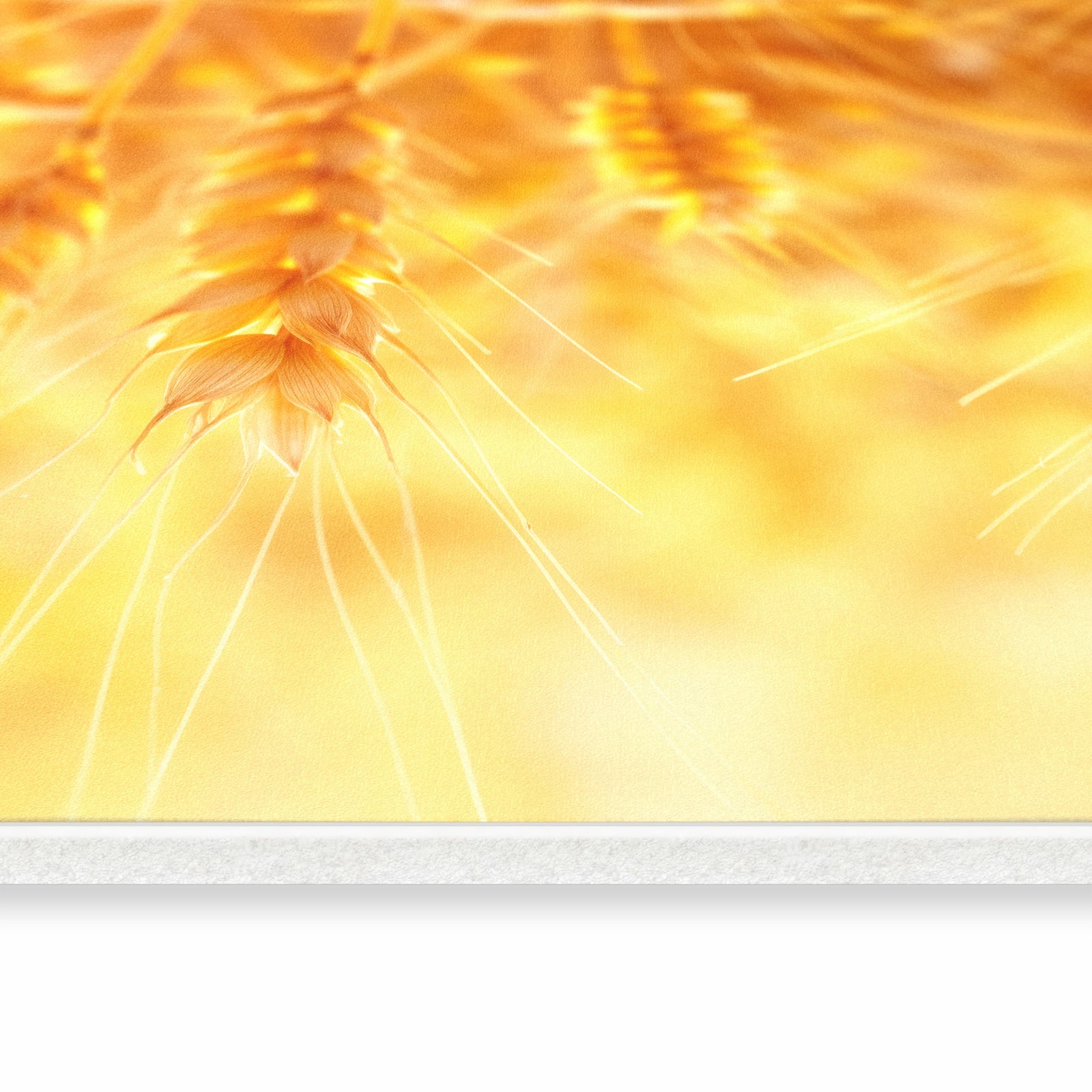 Küchenläufer - Sonnenuntergang von Weizenfeld