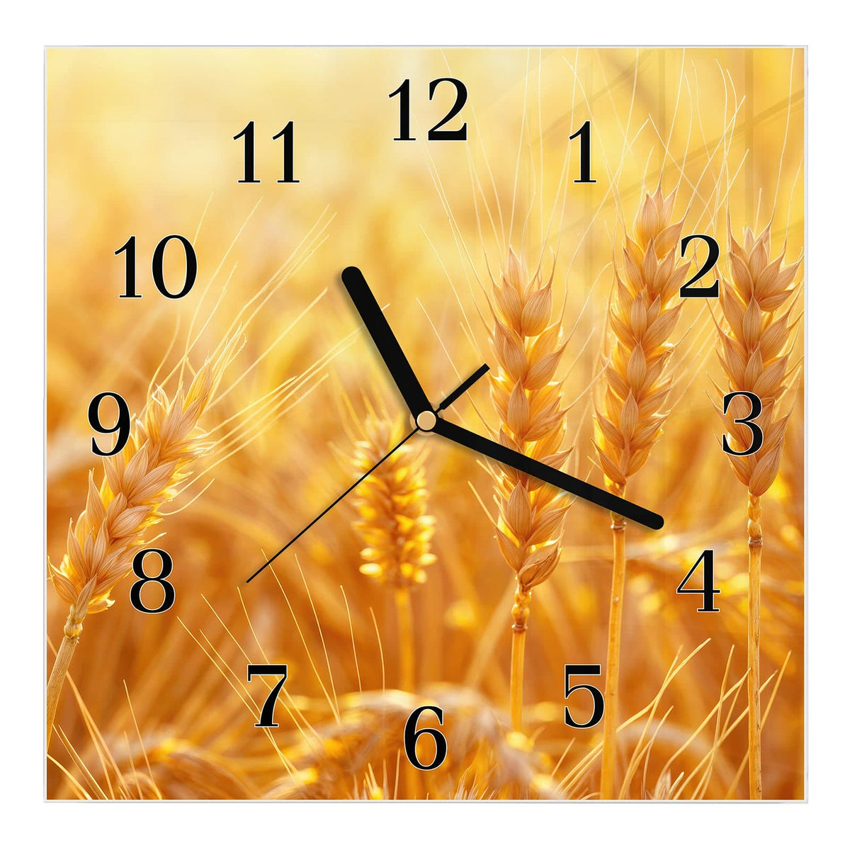 Wanduhr aus Glas, Ziffernblatt Klassisch: Nahaufnahme reifer Weizenähren im goldgelben Gegenlicht, Hintergrund unscharf