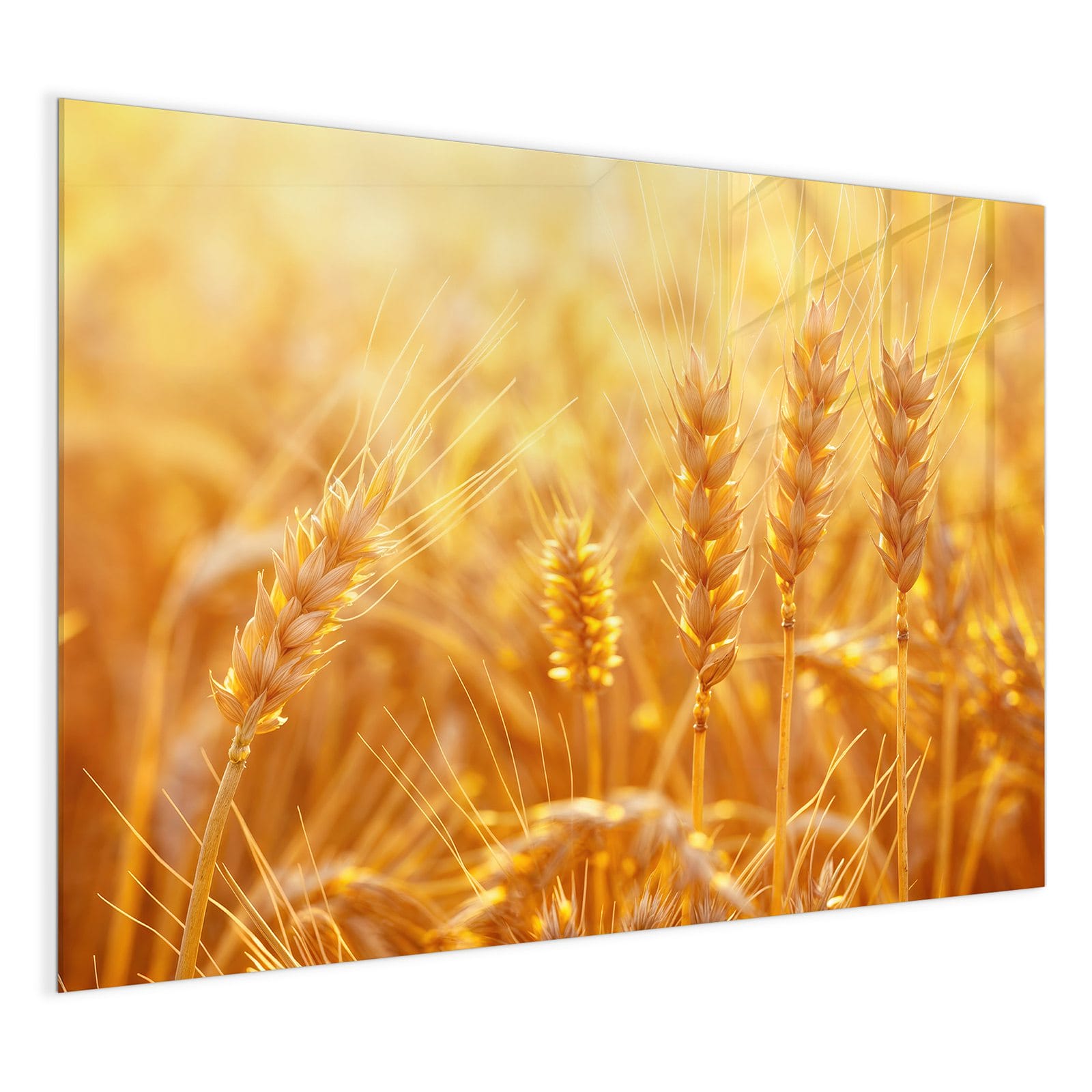 #grösse_120 x 90 cm